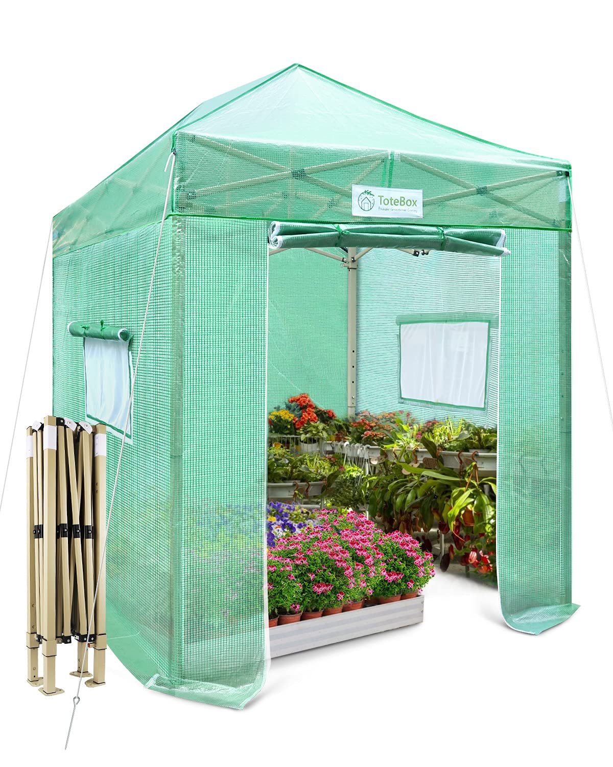 TOTEBOX 10'x6' Heavy Duty Pop Up Greenhouse - 52 lbs Large Walk-in Plant Tent with Fast Setup | Portable Outdoor Winter Greenhouse for Gardening, Plant Protection & Season Extension