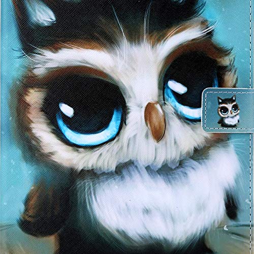 02# Blue Owl Baby