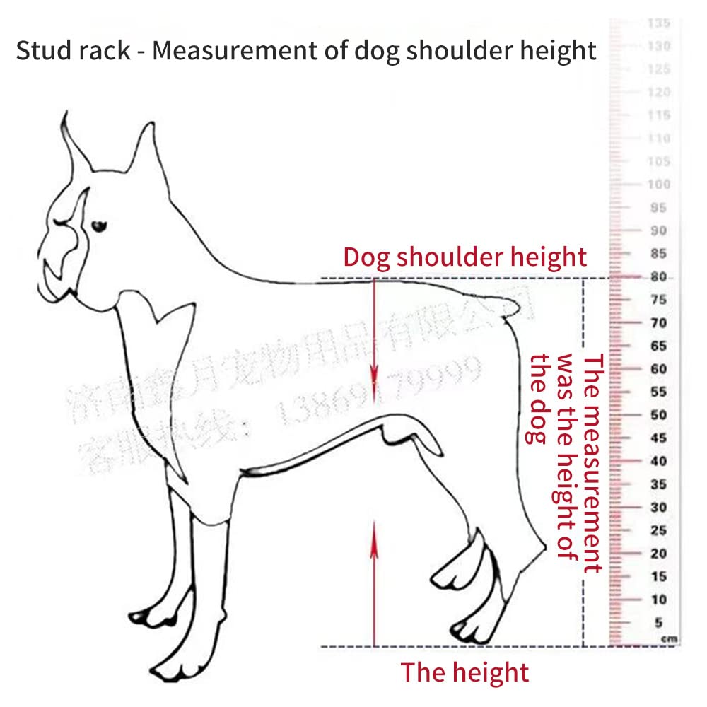 Stainless Steel Adjustable Dog Breeding Stand - Height & Length Customizable Pet Breeding Bracket for Small to Medium Dogs | Durable Breeding Accessories for Professional Breeders & Home Use