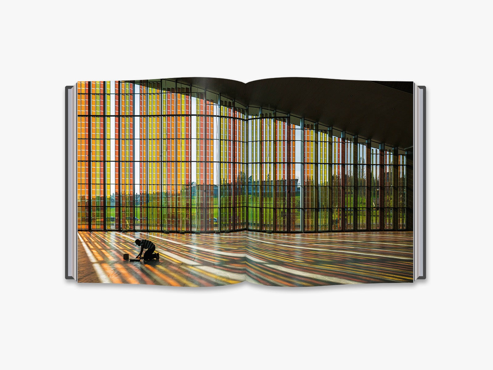 New Swiss Architecture Design Books - Modern Building & Urban Planning Guides for Architects, Students & Design Enthusiasts | Perfect for Home Office Decor & Professional Reference