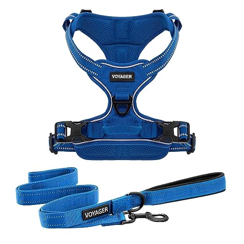 Harness Leash Set (Royal Nylon)