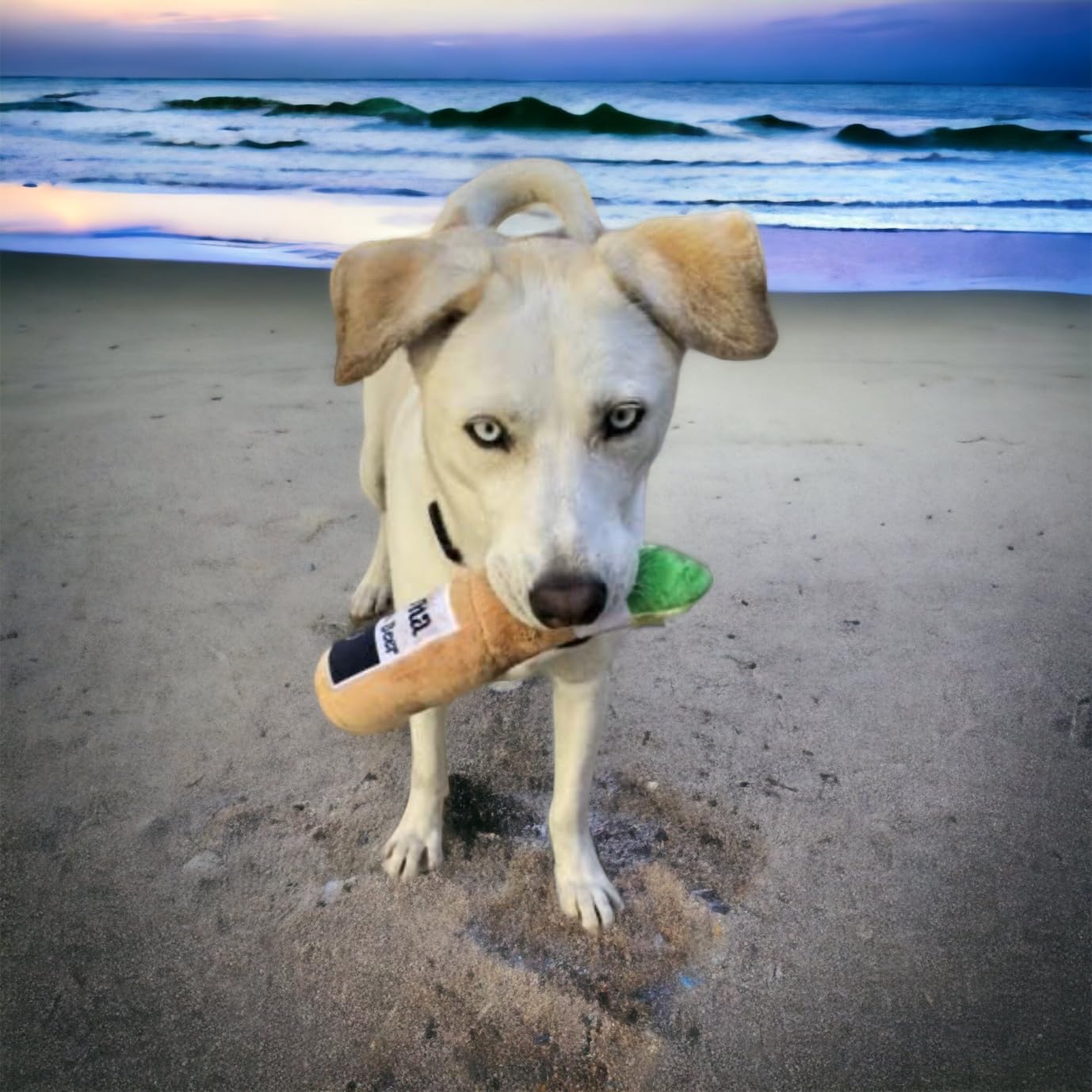 Soft Plush Beer Bottle Dog Toy - Fun Chew Toy for Small & Large Dogs, Perfect Birthday Gift & Holiday Party Favor (Grrrona) - Great for Playtime, Training Rewards & Puppy Teething Relief