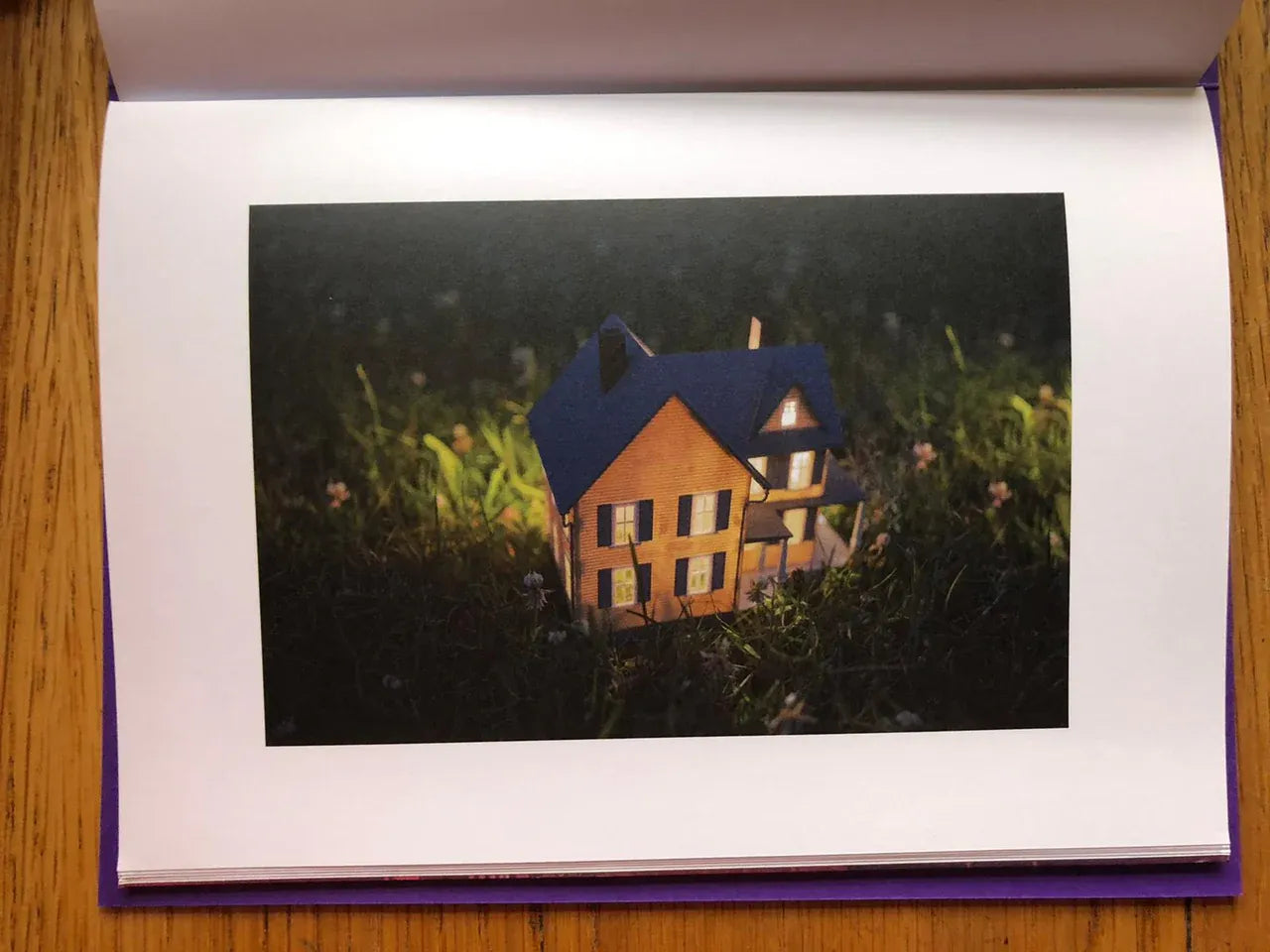 Lauren Tepfer Photography Prints - High-Quality Wall Art Decor for Home & Office | Perfect for Living Rooms, Bedrooms, and Gifts
