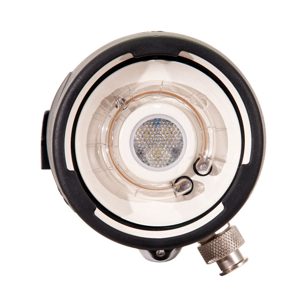 Ikelite DS161 Underwater Strobe & Video Light with NiMH Battery - Professional Dive Photography Lighting for Scuba, Snorkeling & Marine Exploration (USA)
