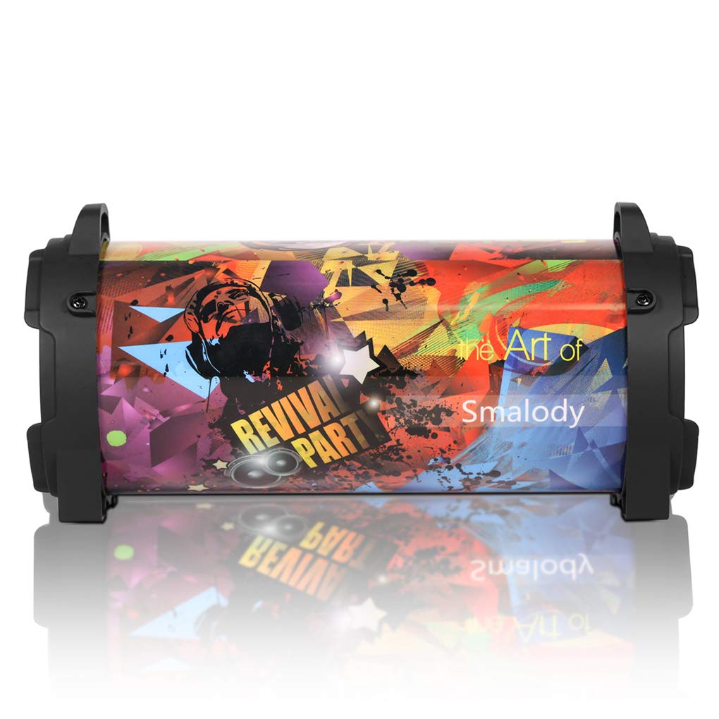 ZYElroy Portable Bluetooth Speaker - Wireless Outdoor Speaker with FM Radio, TF Card & USB Playback, Stereo Sound for Camping, Beach, Parties & Home Use