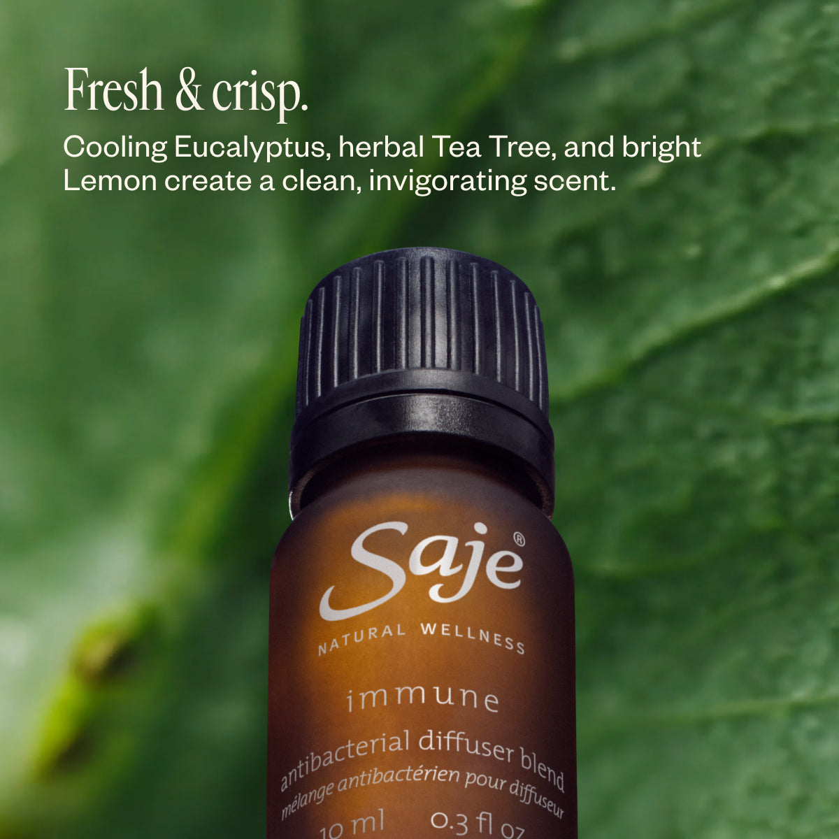 10ml Immune Boosting Essential Oil Diffuser Blend - Natural Aromatherapy for Home, Office & Wellness