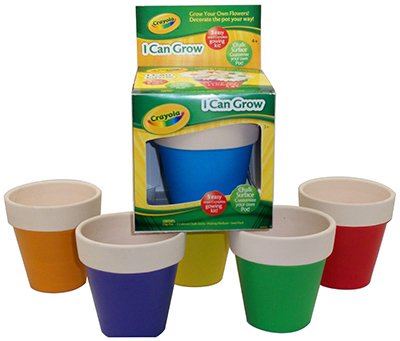Crayo Chalk FLWRPot Kit - DIY Flower Pot Painting Set for Kids & Adults - Creative Home & Garden Decor Craft Project