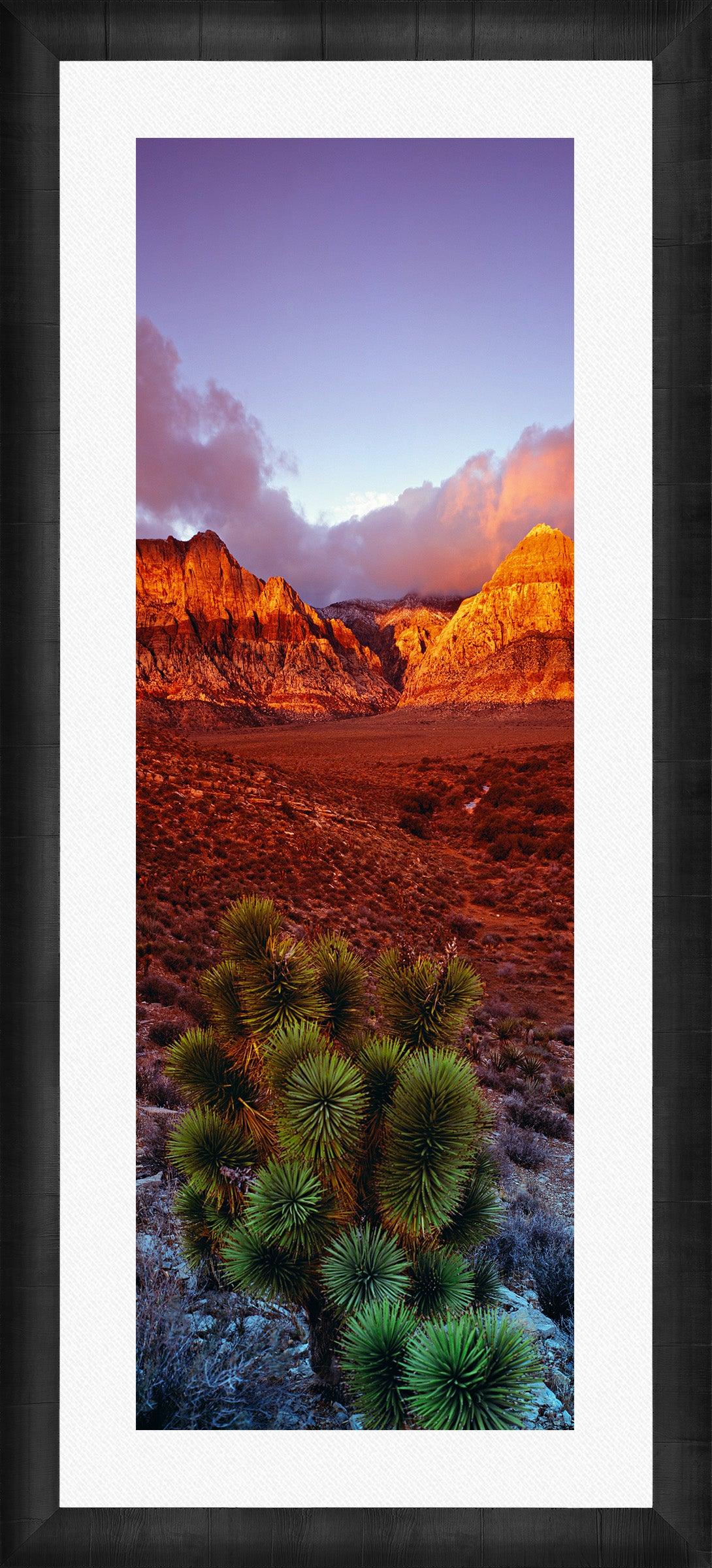 King of the Desert - Premium Outdoor Adventure Gear for Hiking, Camping & Survival | Durable Desert Equipment for Explorers