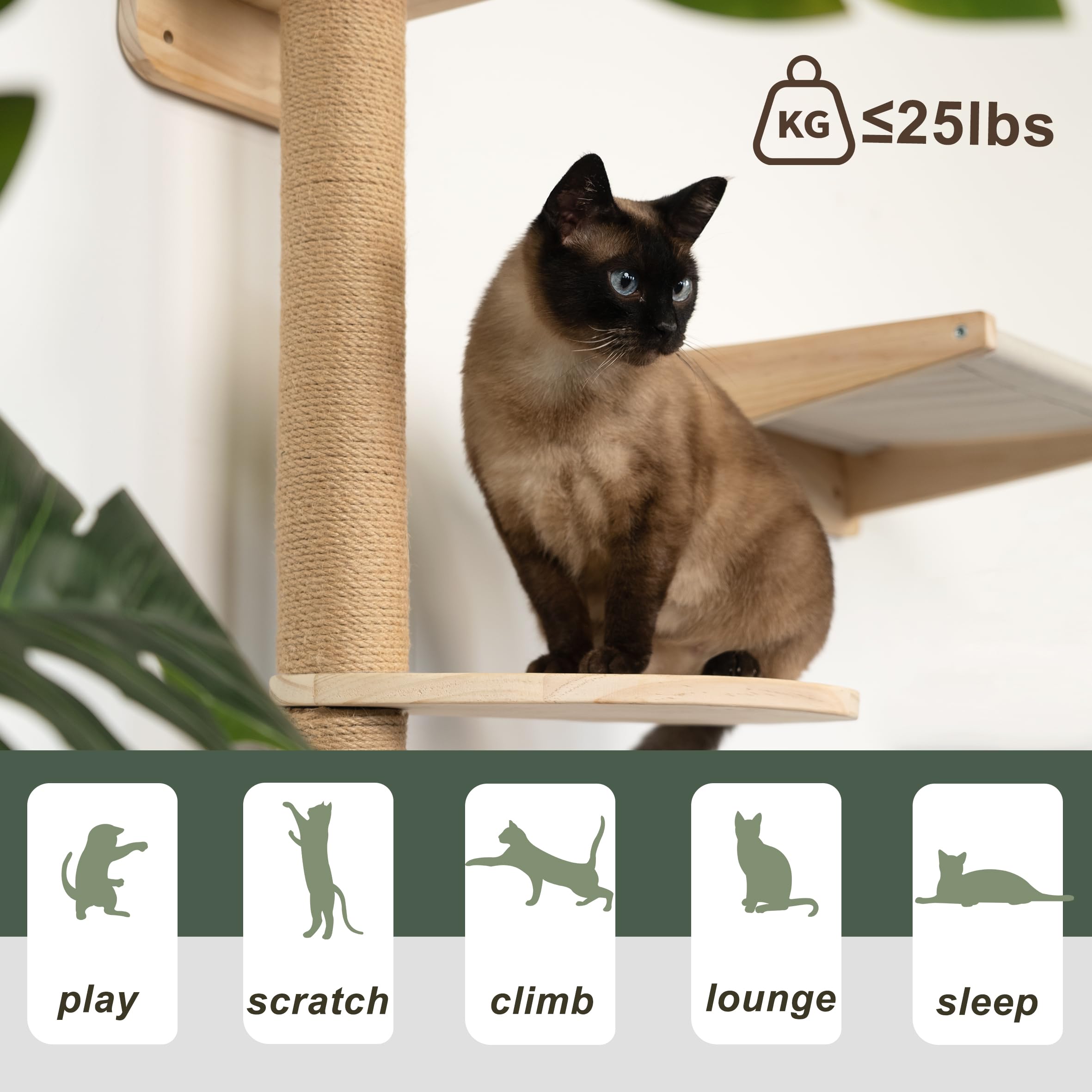 Premium 2-in-1 Cat Window Perch & Wall Shelves - Solid Wood Cat Hammock with Steps & 3-Tier Bed - Wall Mounted Cat Furniture with 18 Strong Suction Cups - Perfect for Indoor Cats to Lounge, Climb & Relax by Windows