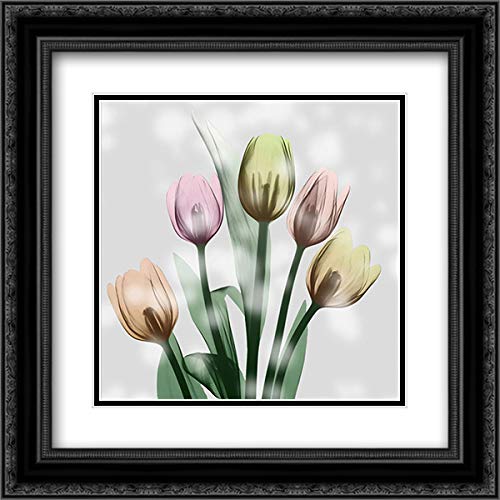 Albert Koetsier 'Awakening Tulips' 15x15 Black Ornate Framed Double Matted Museum Art Print - Perfect for Living Room, Bedroom & Office Wall Decor
