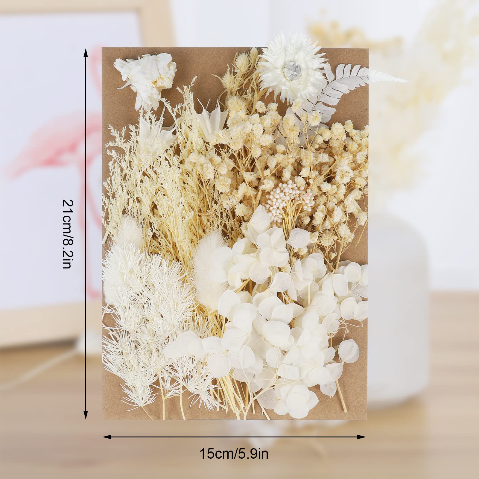 Premium Dried Pressed Flowers for DIY Crafts - Natural Mixed Floral Leaves for Resin Jewelry, Candle Making, Nail Art & Home Decor (White) | Perfect for Wedding Invitations, Scrapbooking & Gift Wrapping