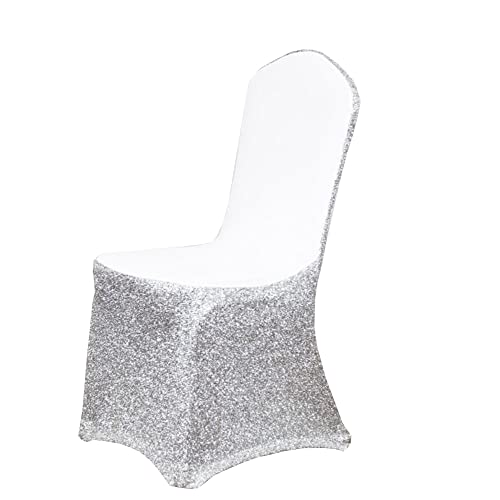 Glitter Silver