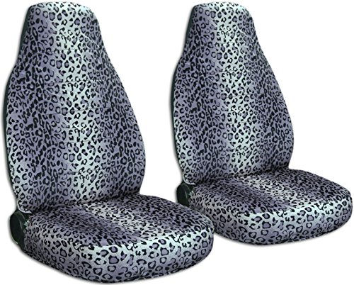 Gray Leopard