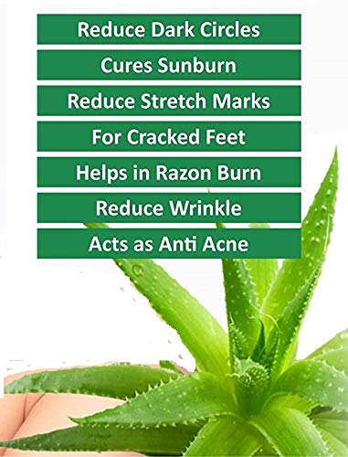 Pure Aloe Vera Gel 99% - Moisturizing, Cooling & Soothing Skin Care for Sunburn, Dry Skin & After Shave - 200ml