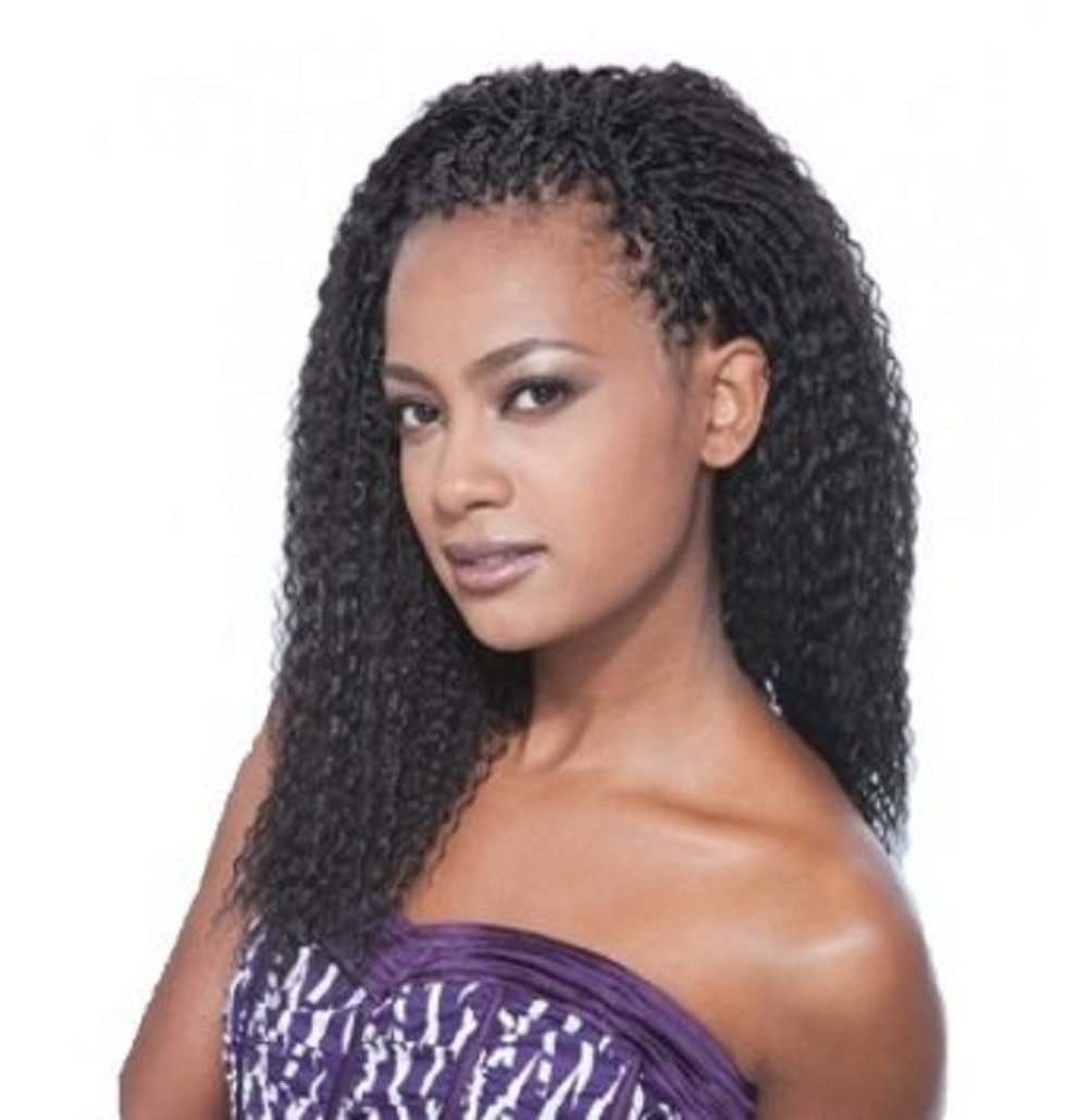 Shake N Go Freetress Bulk Brazilian Braid Hair Extensions - 20 Inch (99J) for Natural Look & Easy Styling | Perfect for Protective Hairstyles, Weaves & Braiding