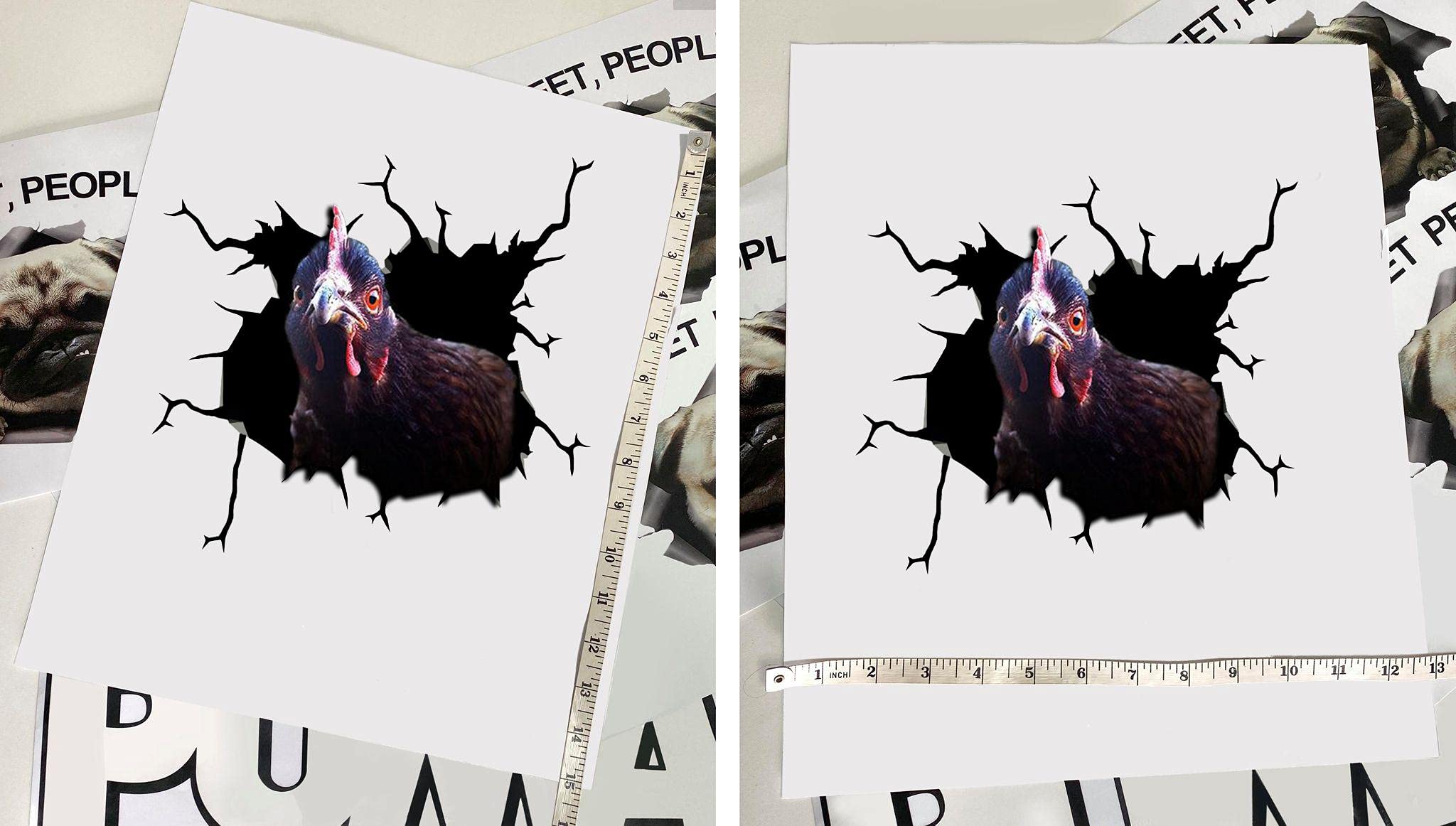 Farm Animal Car Decals Pack of 2 - Chicken Stickers for Car Windows, Walls, Laptops & Home Decor, Series 3, 12