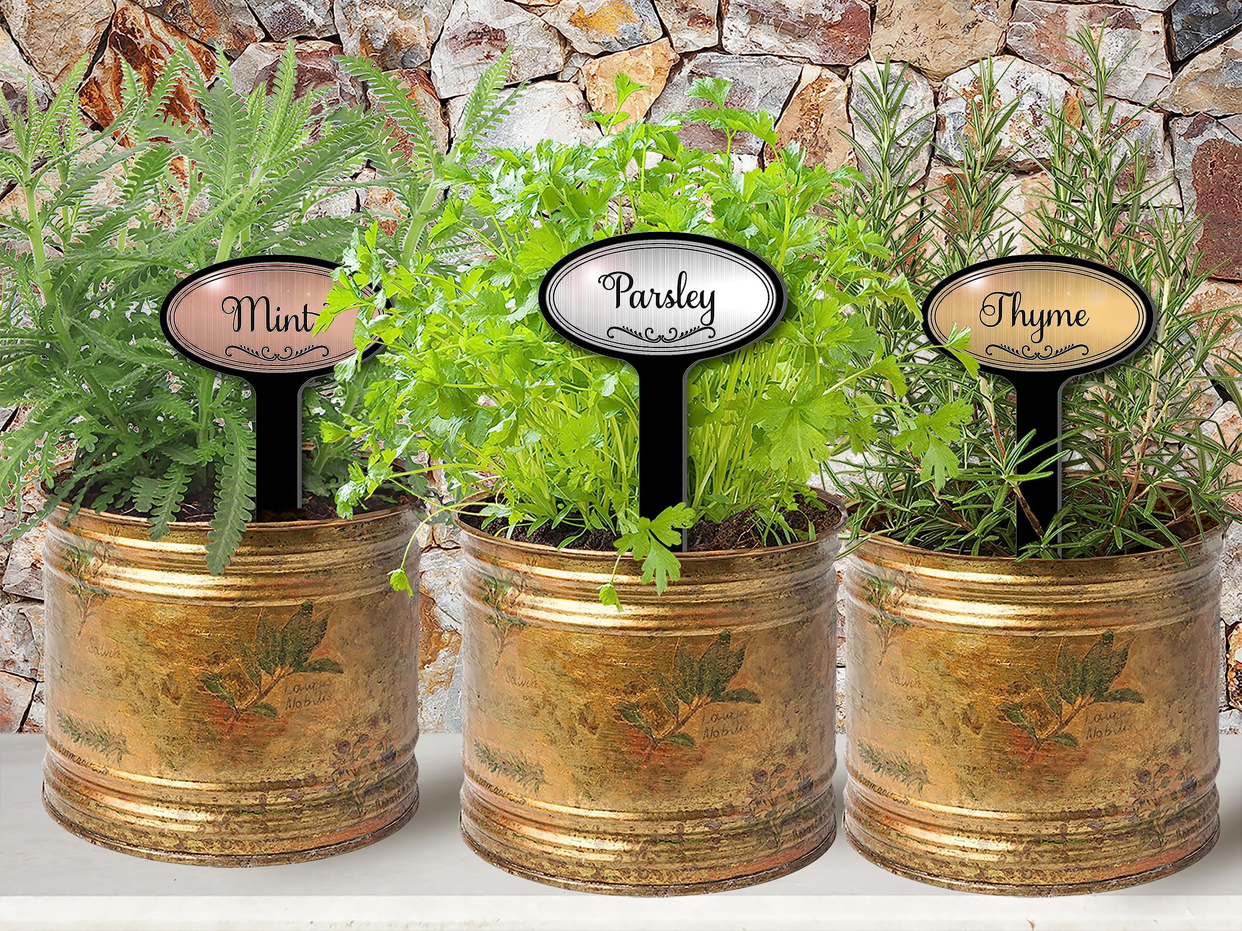 Engraved Flexibrass Acrylic Herb Garden Stakes - 0.8in Oval Top Plant Markers in Silver for Herb Identification & Garden Organization | Perfect for Herb Gardens, Vegetable Patches, and Indoor Plant Labeling
