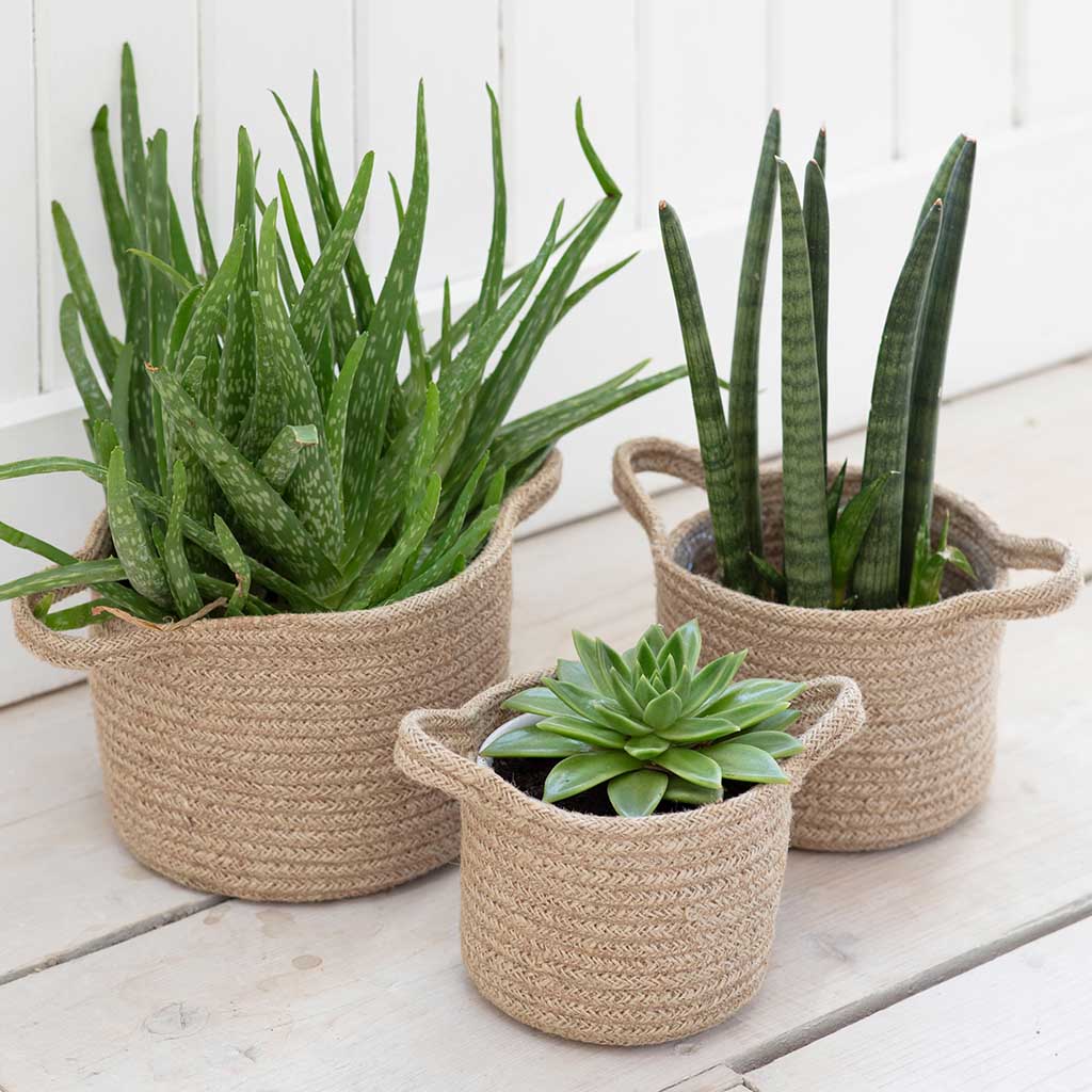 Eco-Friendly Jute Woven Plant Pots - Set of 3 for Indoor & Outdoor Plants | Perfect for Home Decor, Garden, and Balcony