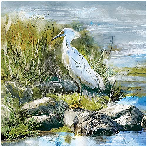 Snowy Egret