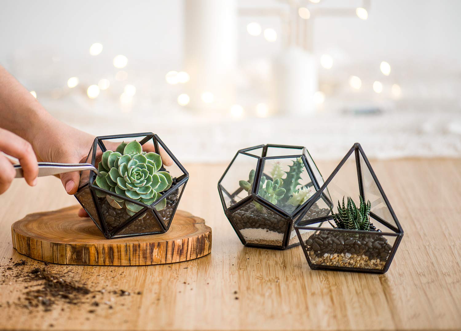 Modern 4-Inch Mini Glass Geometric Terrarium Set of 3 - Black Tabletop Planter for Succulents, Air Plants & Fairy Gardens | Home Office Decor, Wedding Centerpiece & Shelf Display (Plants Not Included)