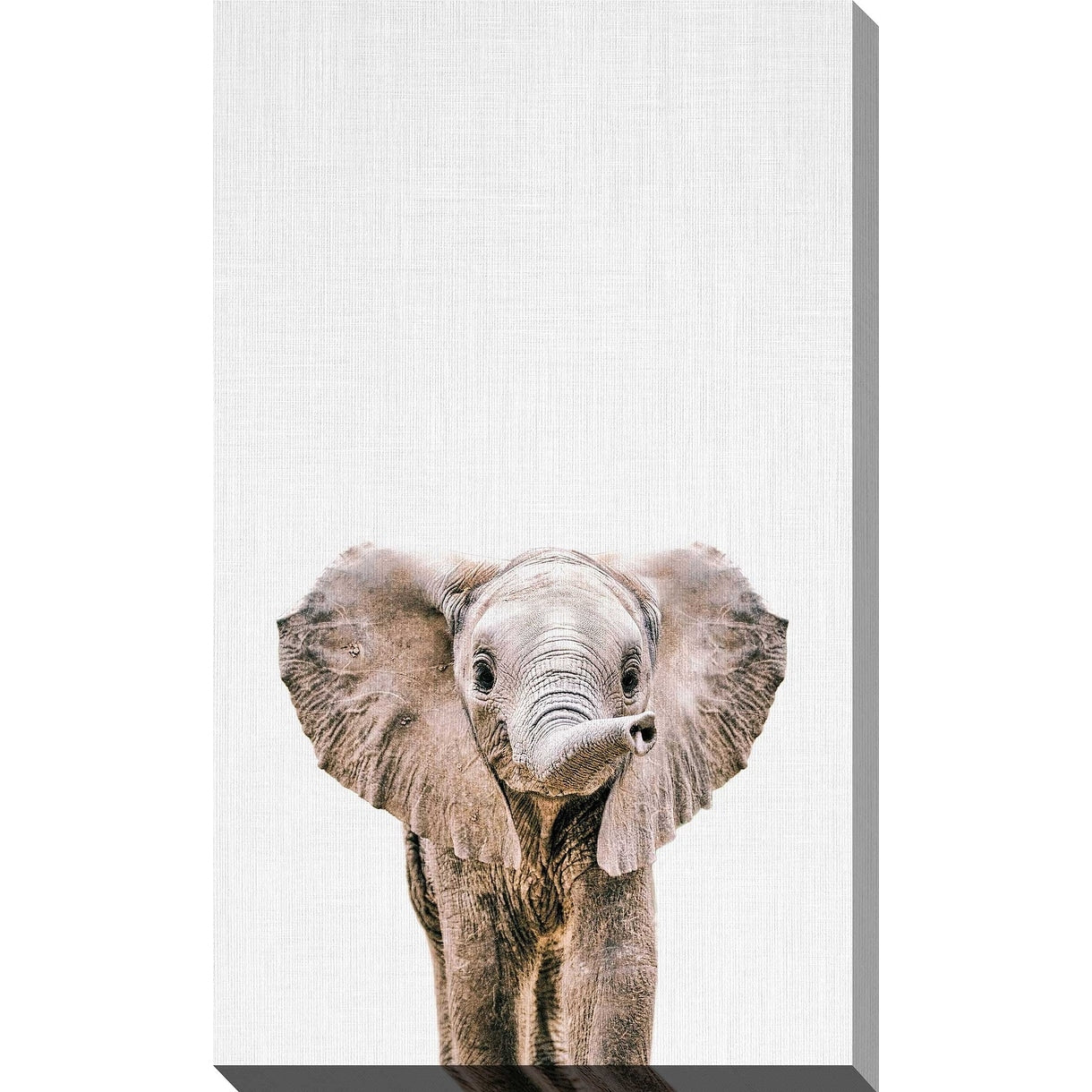 Baby Elephant Art Print by Tai Prints - Stretched Canvas Wall Decor for Nursery, Kids Room & Home - Perfect Gift for Baby Showers & Birthdays