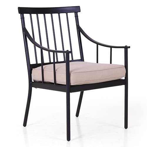 Black With Cushion(rod Back)