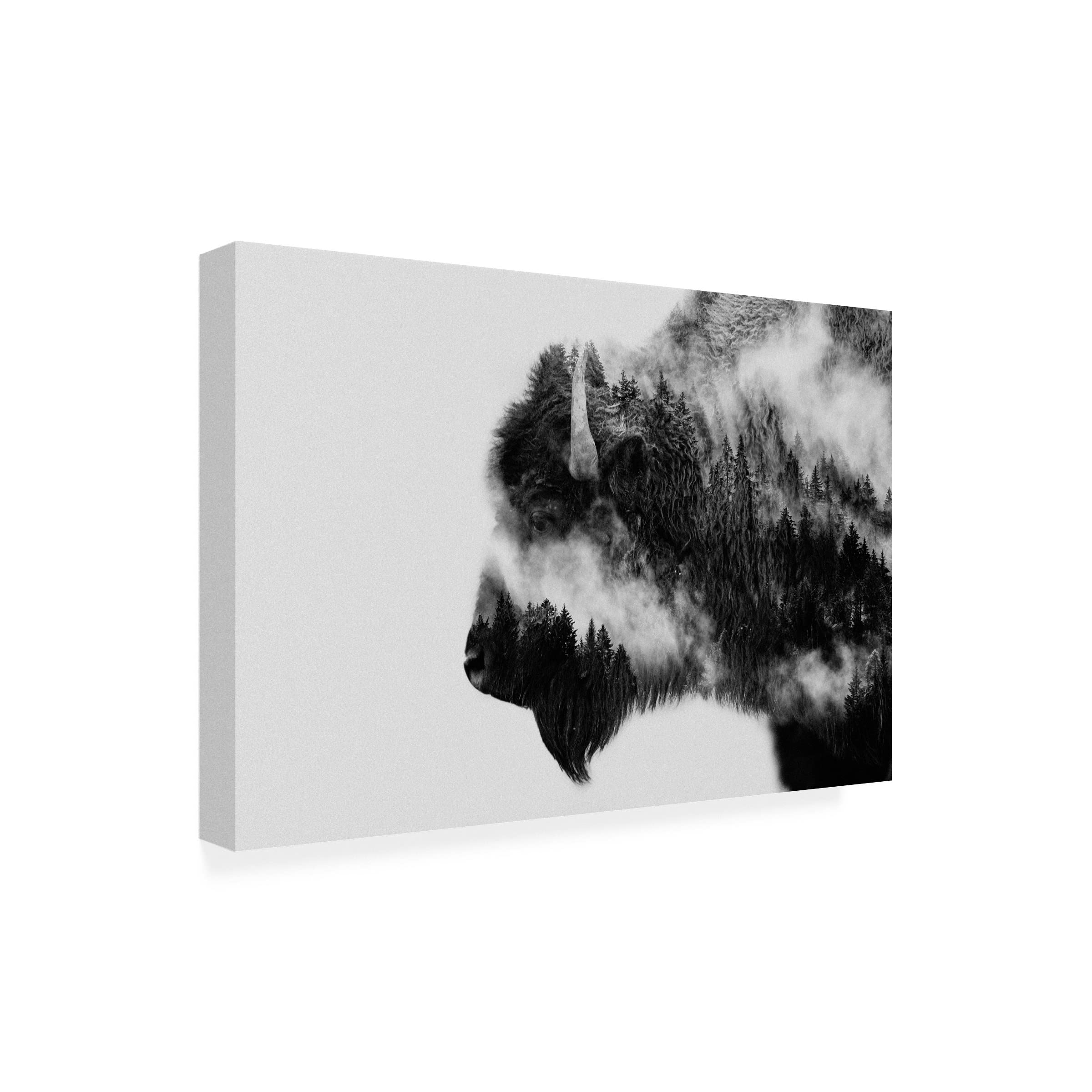 Trademark Fine Art 'Bison' Canvas Wall Art Print by Angyalosi Beata - Wildlife Home Decor for Living Room, Office & Bedroom