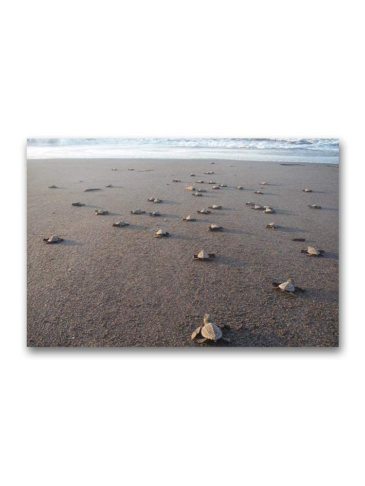 Baby Sea Turtles Walking to Ocean Wall Art Poster - Cute Turtle Nursery Decor, Beach Themed Kids Room, Coastal Home Decor for Living Room & Bedroom