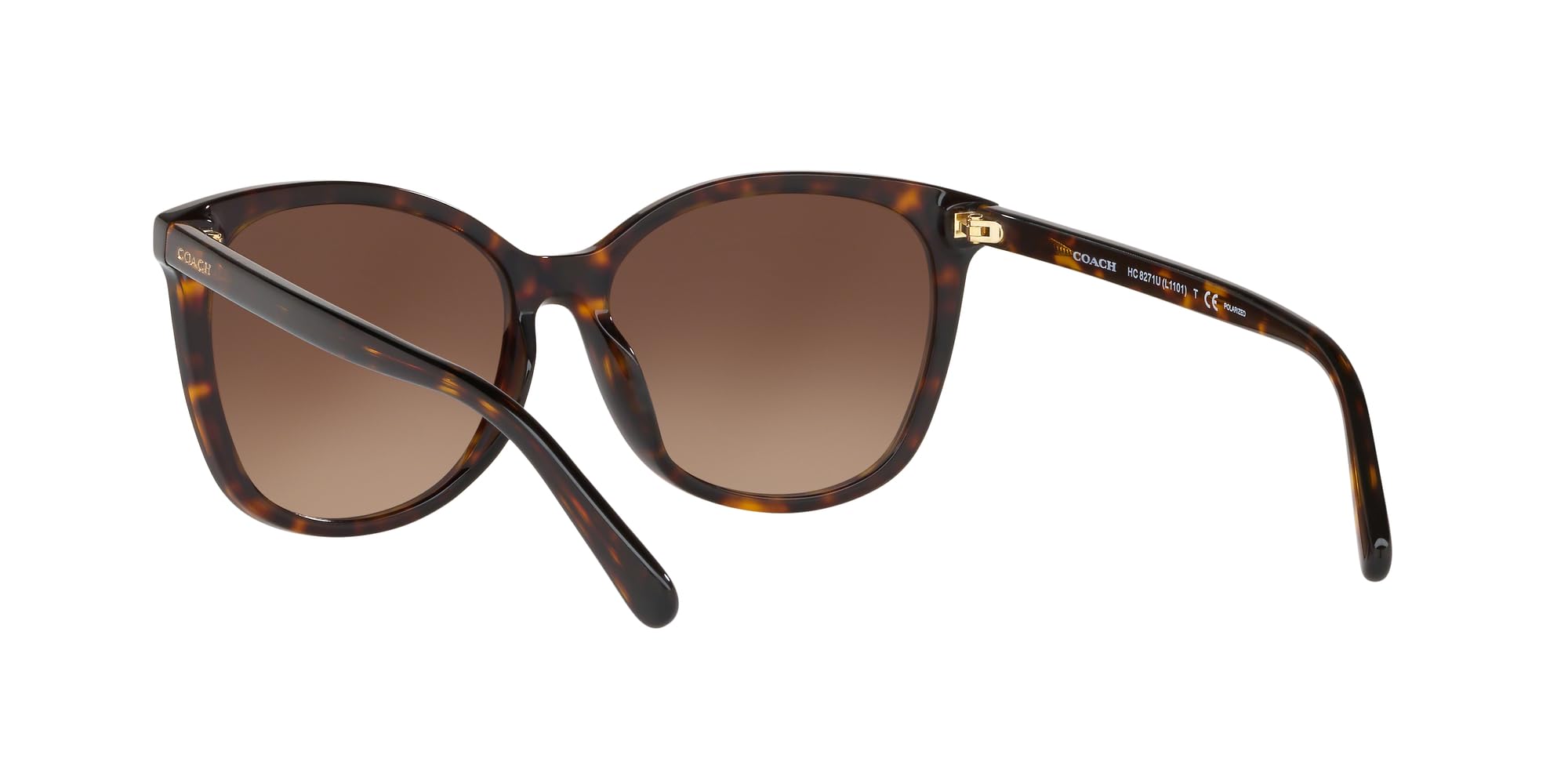 COACH Women's HC8271u Square Sunglasses - UV Protection, Polarized, Lightweight & Stylish for Outdoor, Driving, Beach & Fashion Accessories