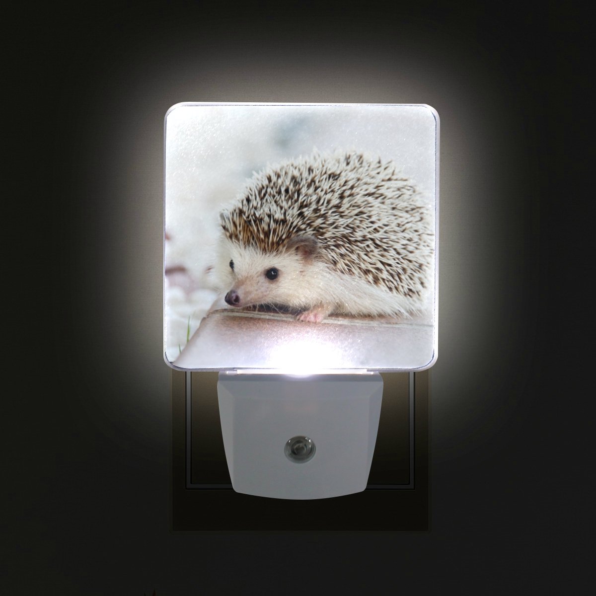 LED Night Light Plug-in with Hedgehog Design - Dusk-to-Dawn Auto Sensor, Energy Efficient 0.5W (2-Pack) - Perfect for Bedroom, Bathroom, Kitchen, Hallway & Stairs - Creates Cozy Ambiance for Kids' Rooms & Safe Nighttime Navigation