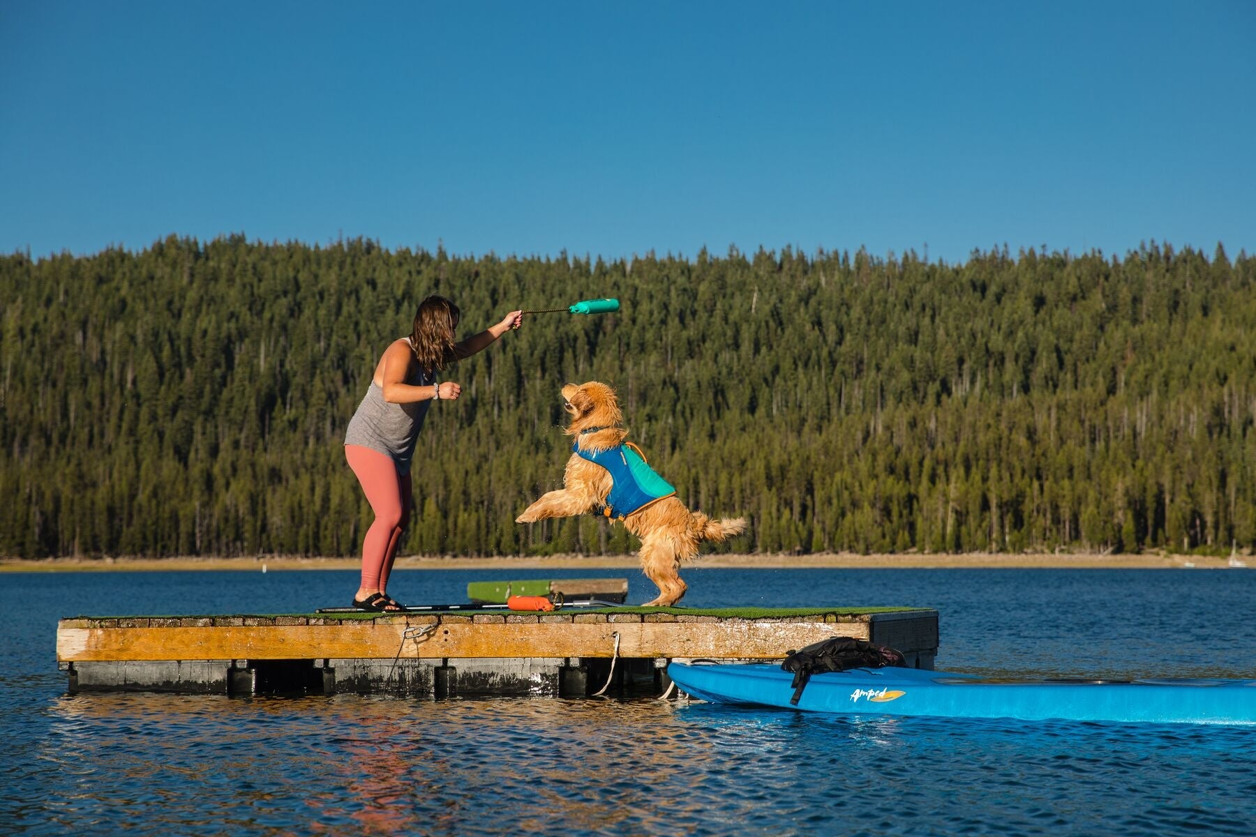 Lunker® Biolumin Blue - Glow in The Dark Foam Water Toy for Dogs | Floating Chew Toy for Pool, Beach & Outdoor Play | Durable & Safe for Pets