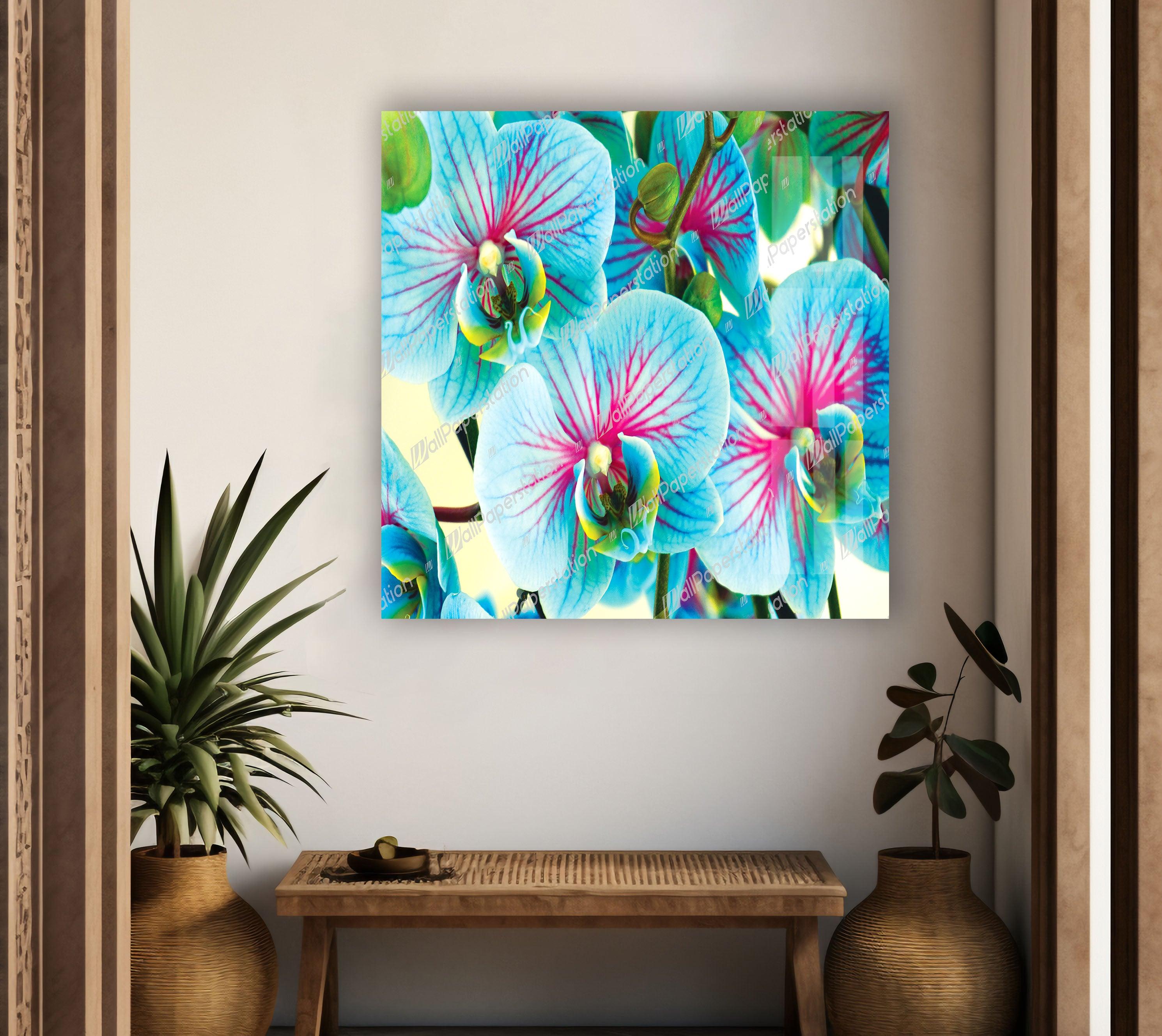 Blue & Pink Orchids Glass Wall Art - Elegant Floral Decor for Living Room, Bedroom & Office