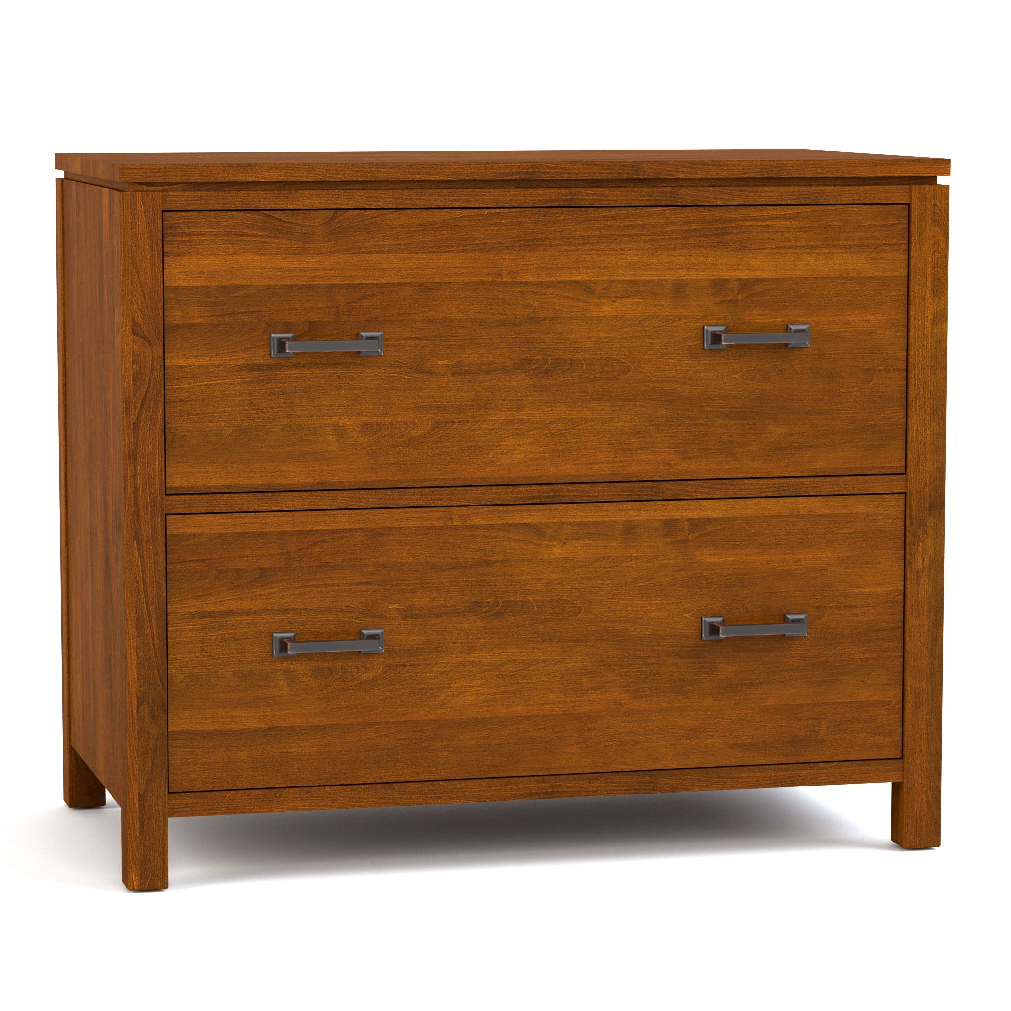 Dwyer Two Drawer File Cabinet - Metal Office Storage Solution for Documents & Folders - Perfect for Home Office, School, or Workplace Organization