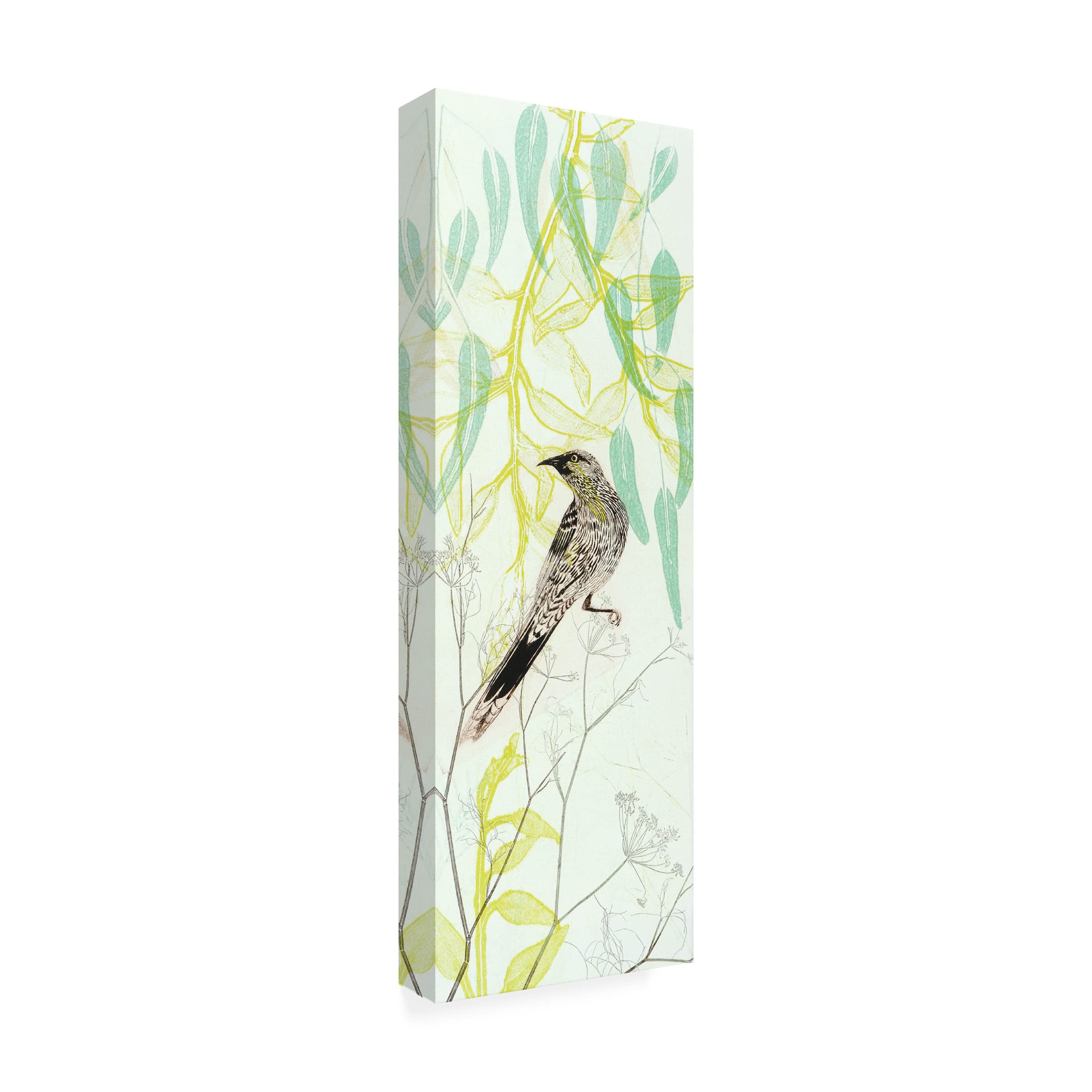 Trademark Fine Art 'Eager To Fly Wattlebird' Canvas Wall Art by Trudy Rice - Australian Wildlife Painting for Living Room & Office Decor