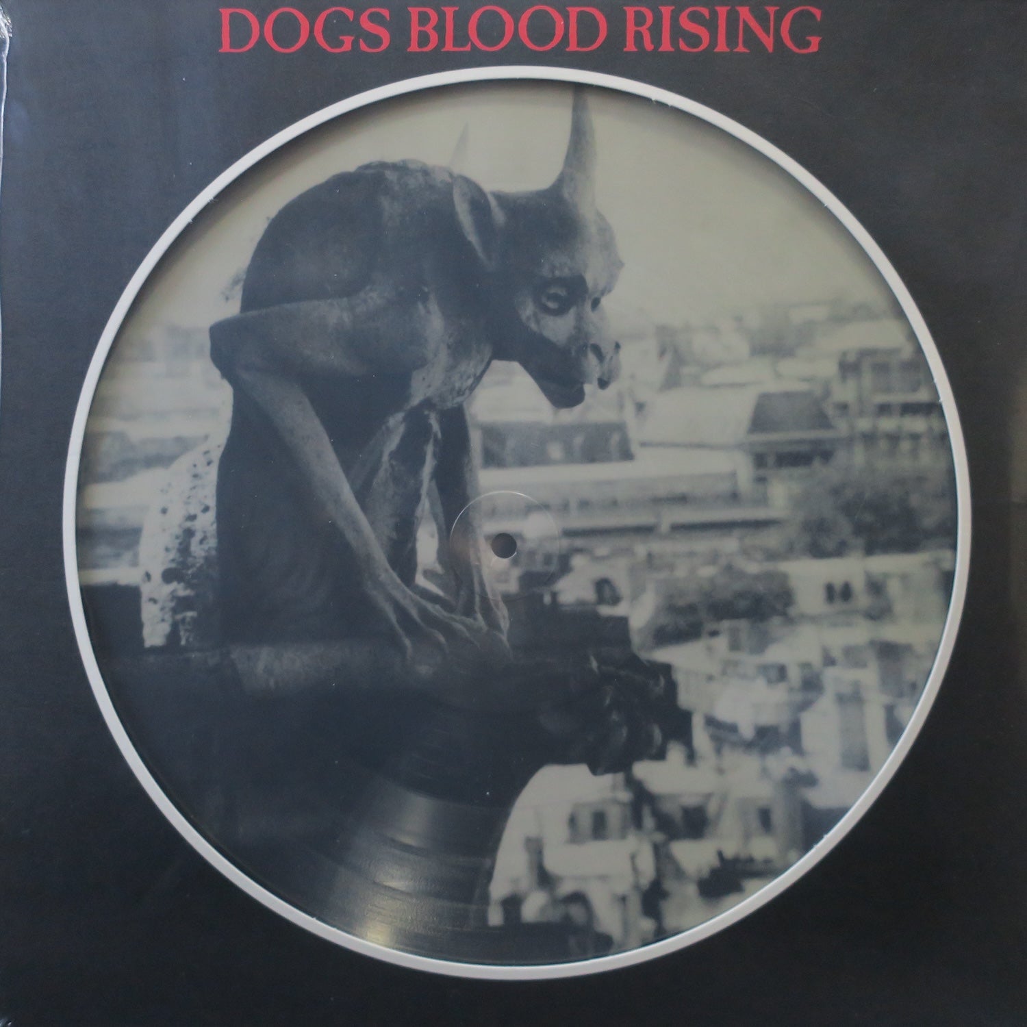 **CURRENT 93 'Dogs Blood Rising' Picture Disc Vinyl LP – Limited Edition 1984 Industrial Neo Folk Music Record – Perfect for Collectors & Dark Music Enthusiasts**