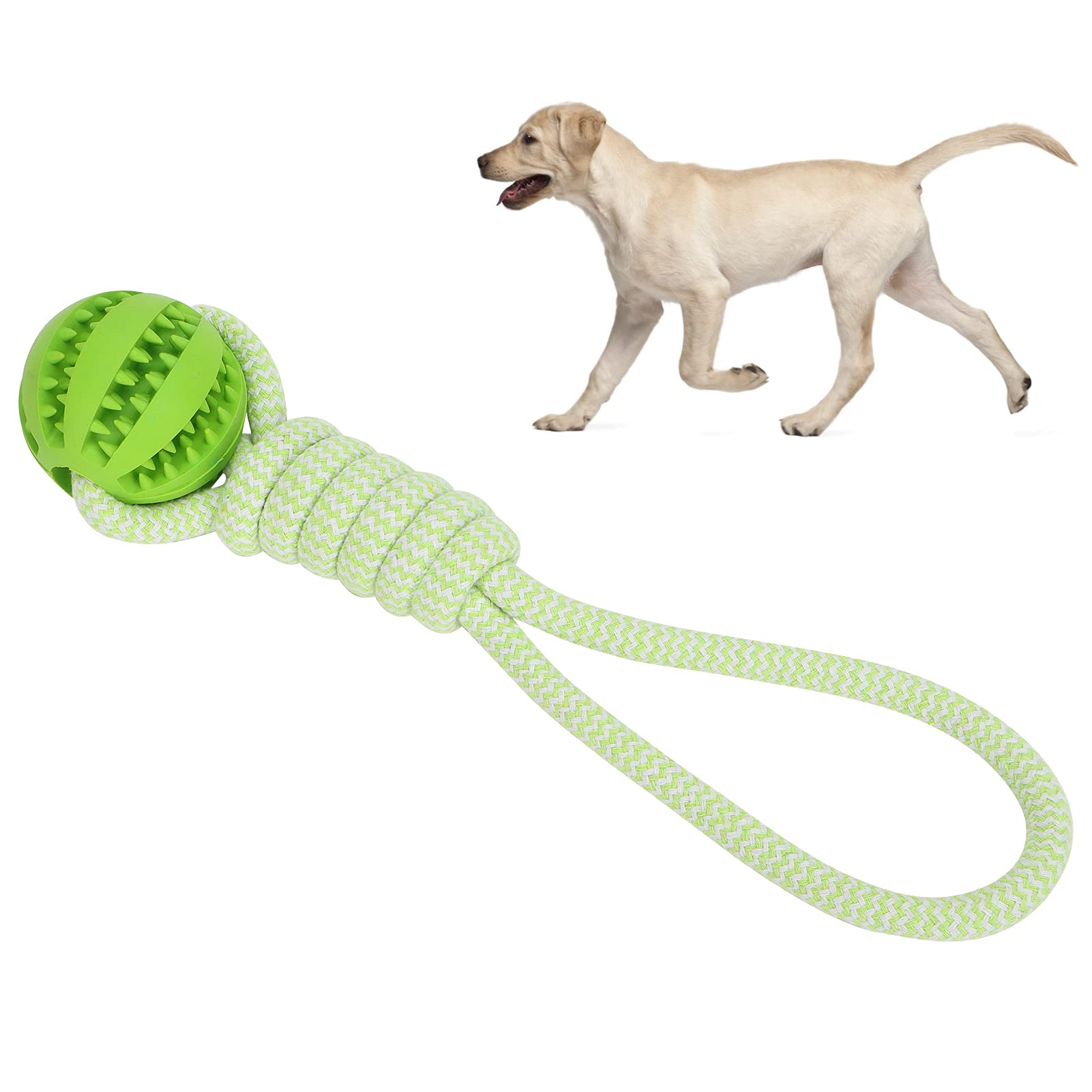 Durable Dog Chew Toy - Interactive Chewing Ball with Rope for Teeth Cleaning & Bite Training | Safe Pet Snack Dispenser for Puppies & Adult Dogs (Green) - Perfect for Indoor Play, Outdoor Fetch & Dental Health