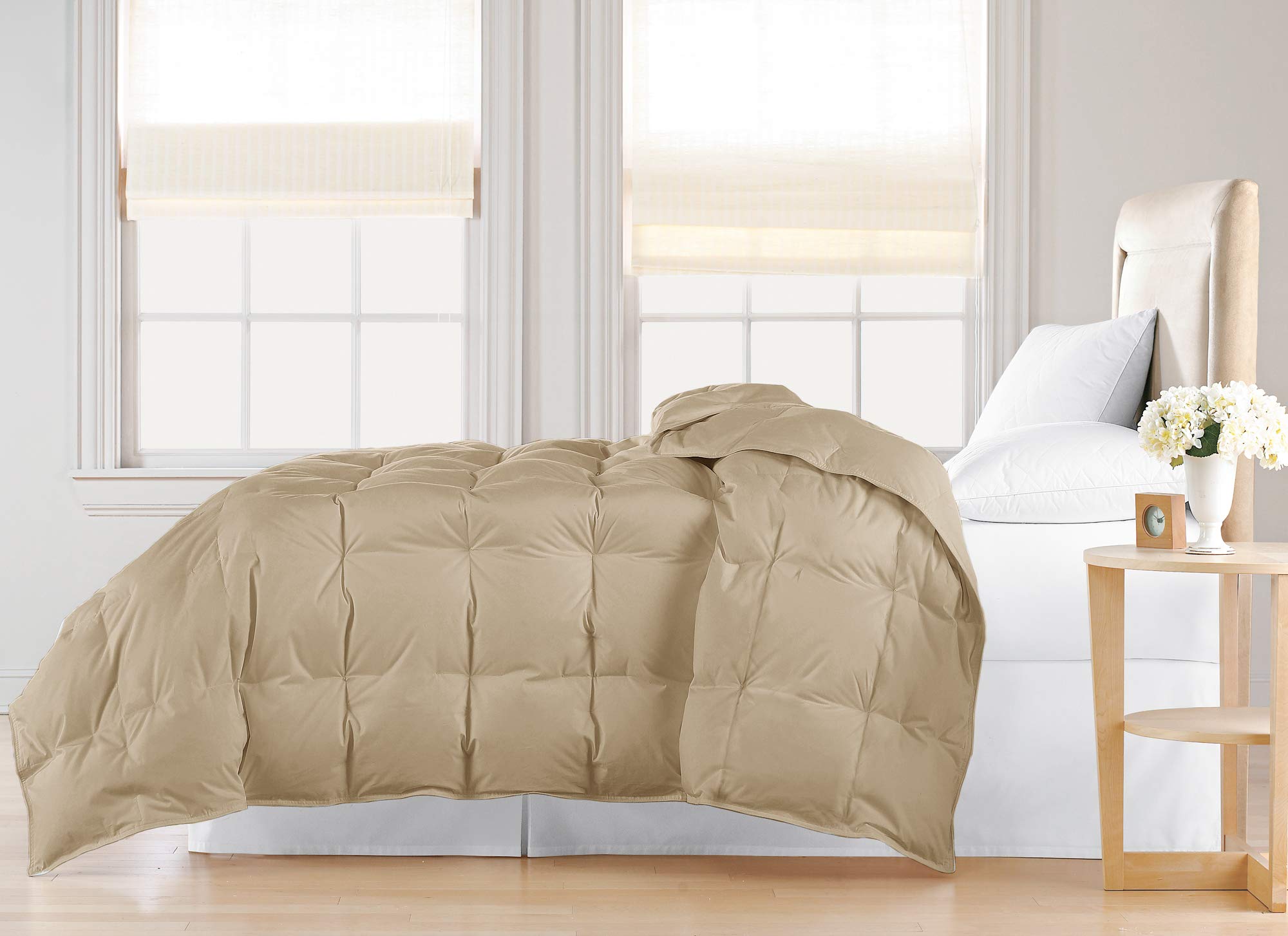 Blue Ridge Home Fashions 240 Thread Count Feather & Down Comforter - Twin Size, Sand Color - Ultra Soft Bedding for All Seasons, Perfect for Guest Rooms & Cozy Nights