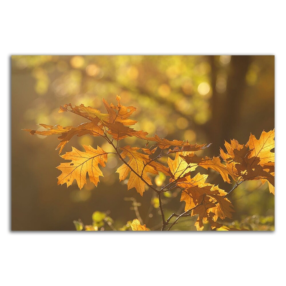 Autumn Light by Roeselien Raimond - Premium Canvas Wall Art Print - Ready to Hang - Perfect for Living Room, Bedroom & Office Decor