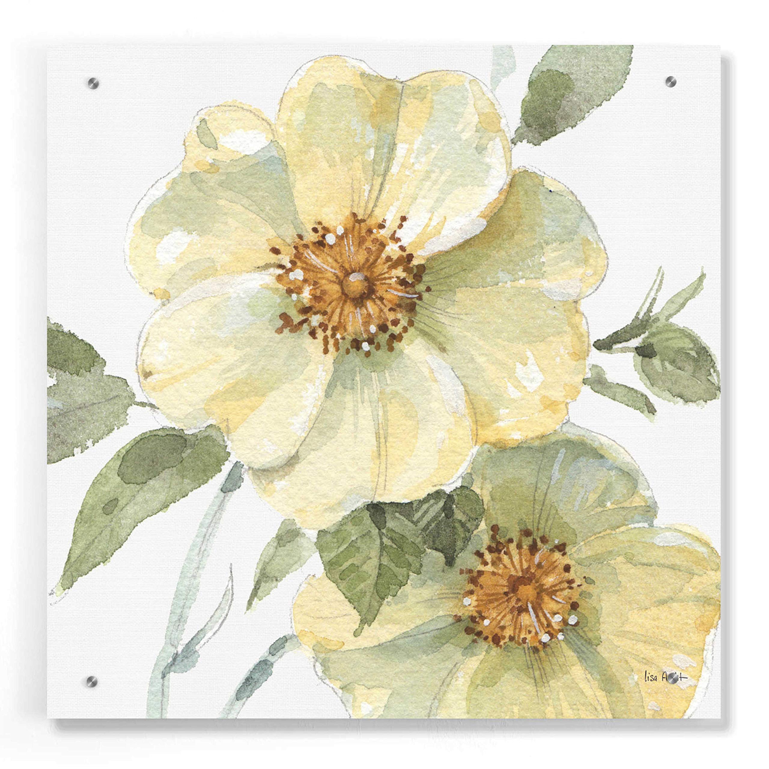 Lisa Audit 'Spring Meadow VII' Acrylic Glass Wall Art - 24x24 Inch Modern Floral Canvas Print for Living Room, Bedroom & Office Decor