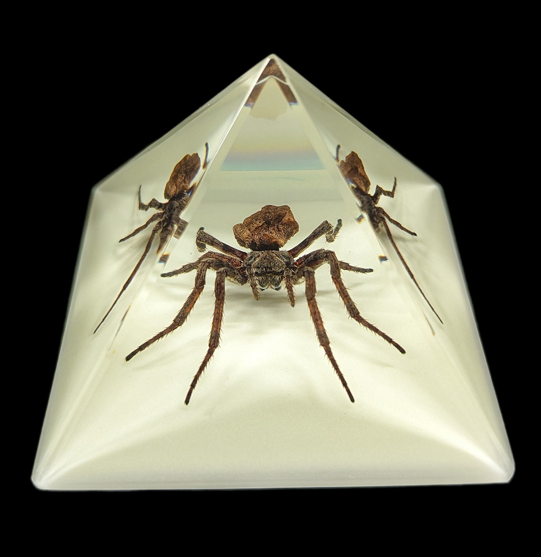 Glow in The Dark Spider Pyramid Decor - Halloween Party Decoration, Scary Home Decor for Spooky Nights & Themed Events