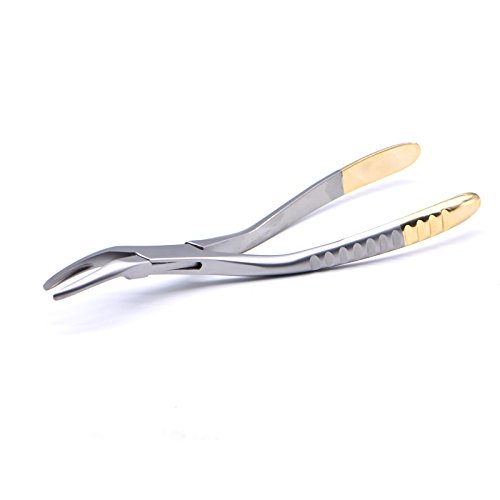 Dental Tooth Extraction Forceps for Root Fragment Removal - Minimally Invasive Curved Dental Instruments for Maxillary Teeth | Professional Oral Surgery Tools for Dentists & Dental Clinics