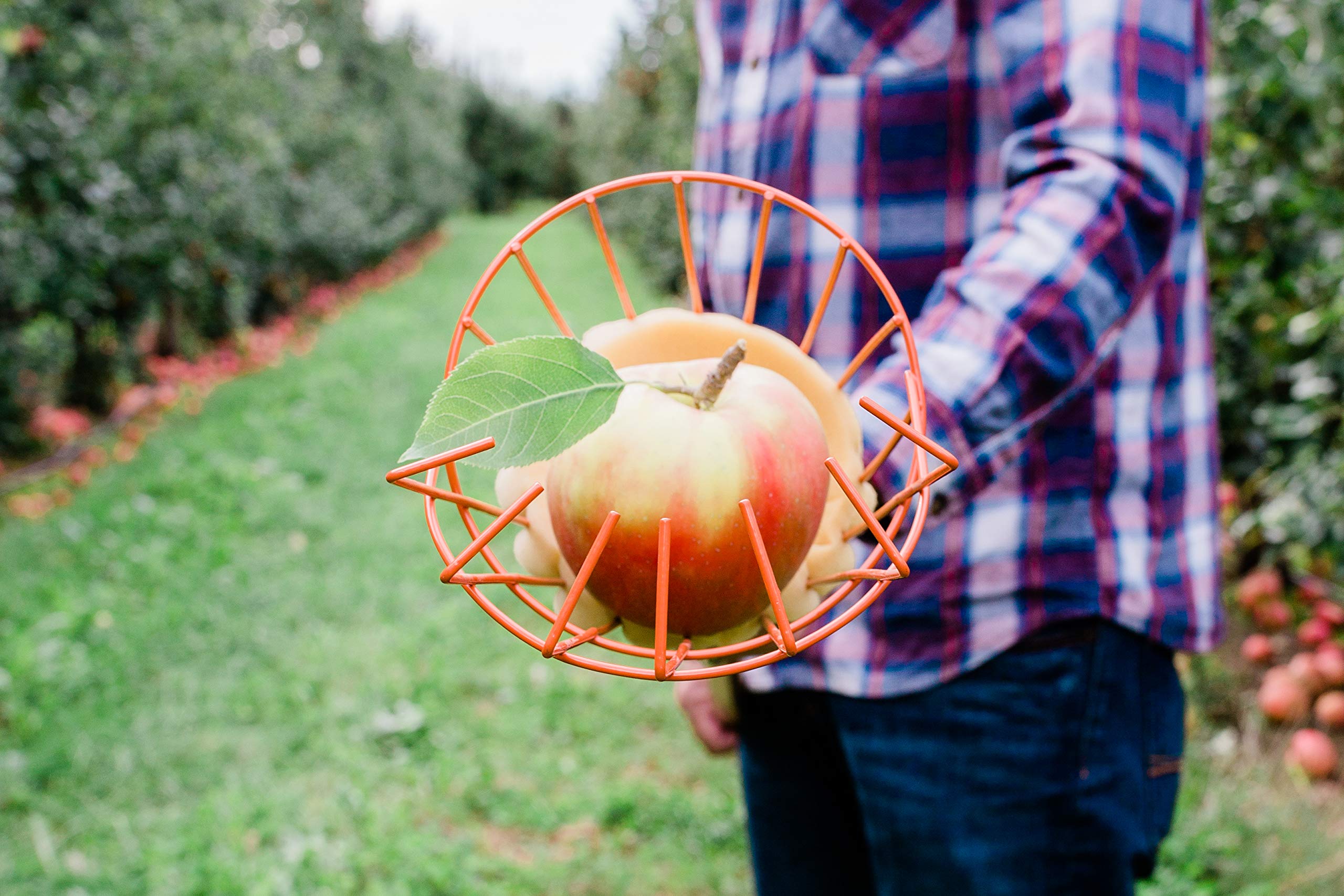 Premium Apple Picking Basket with Soft Cushion - Prevent Fruit Bruising | Ideal for Harvesting, Gardening & Farmers Market Use
