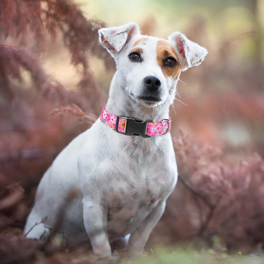 Moonpet Adjustable Dog Collars for Small to Large Dogs - Soft Bohemian Floral Pattern Pet Collar (Pink Floral) - Perfect for Daily Walks, Training & Outdoor Adventures