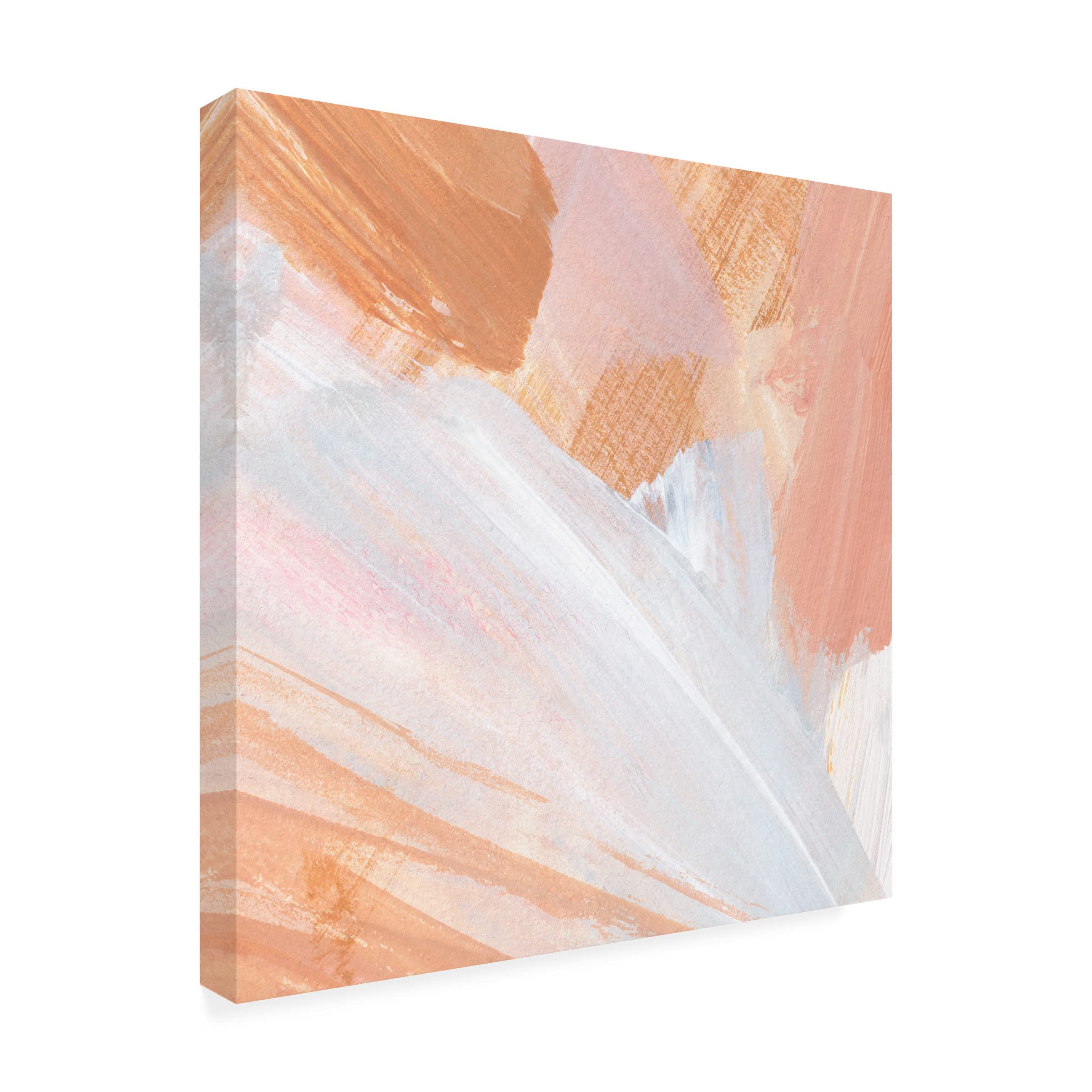 Annie Warren 'Pink Vanilla II' Canvas Wall Art Print - Modern Abstract Floral Painting for Living Room, Bedroom & Office Decor