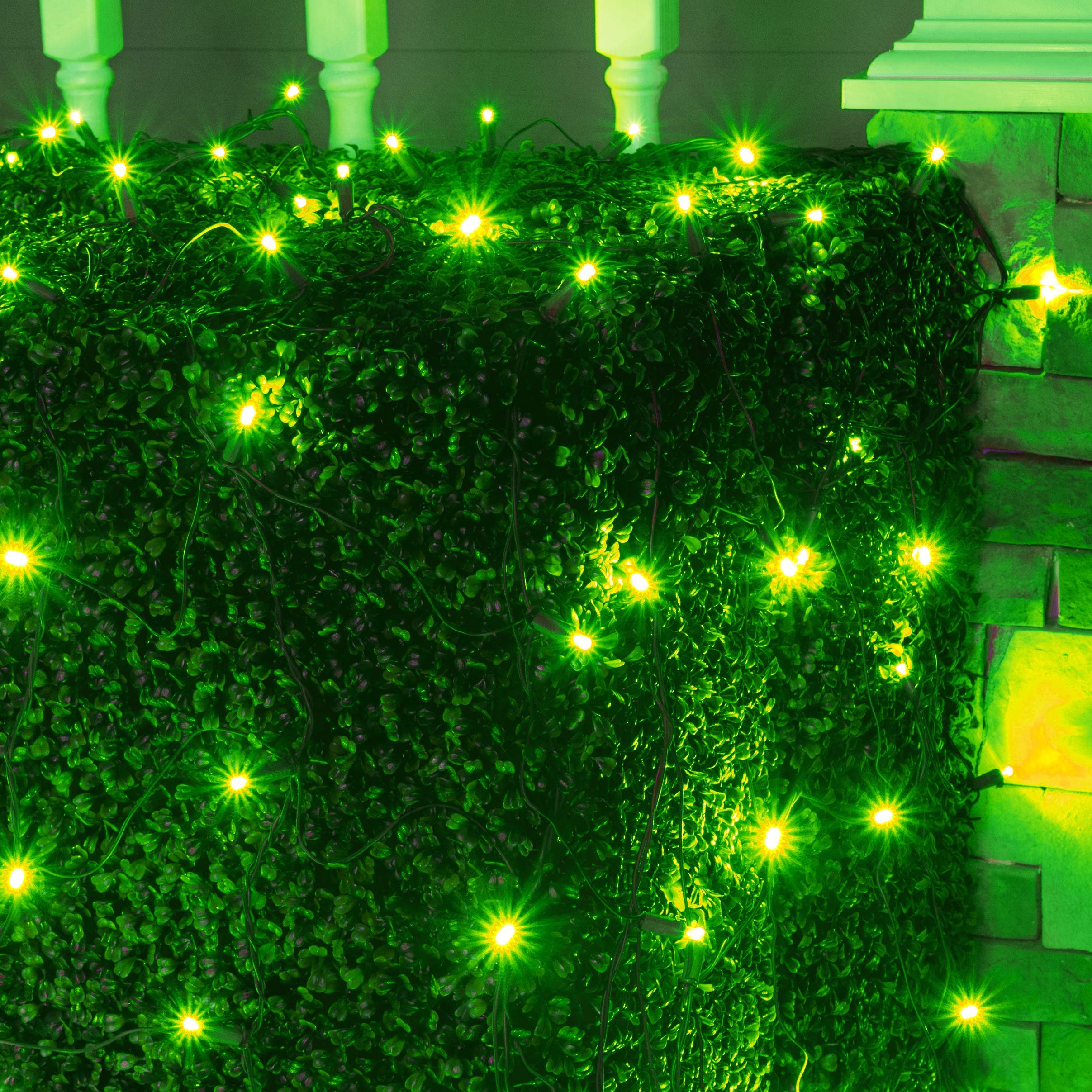 Wintergreen LED Net Lights - 100 LEDs, 4x6ft for Outdoor Christmas Decor
