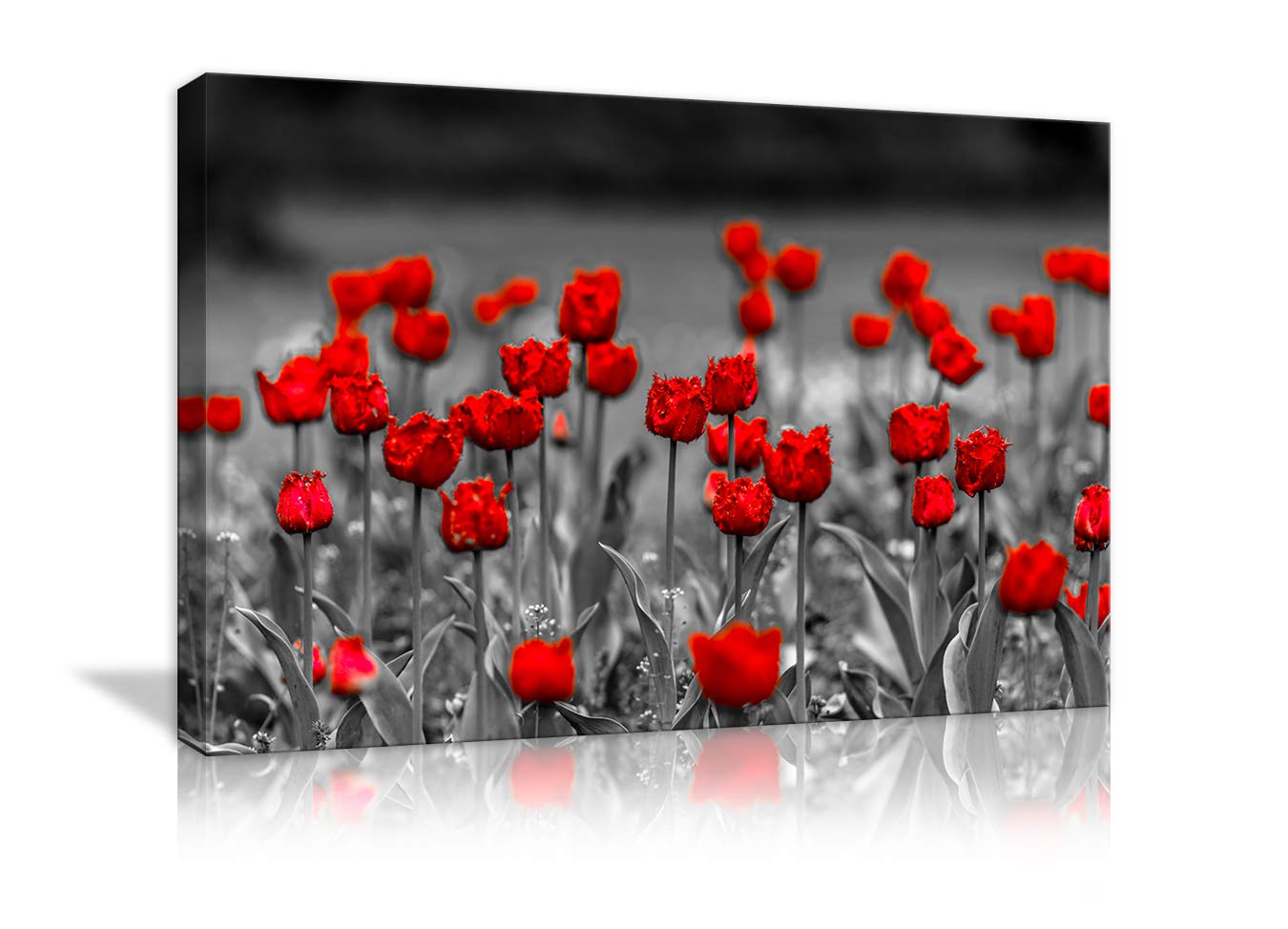 AMEMNY Black White Red Poppy Flowers Wall Art - Hand Painted Canvas Landscape Painting - Floral Picture Decor for Living Room, Bedroom, Bathroom - Stretched Framed Ready to Hang - Perfect for Home, Office & Gift Giving