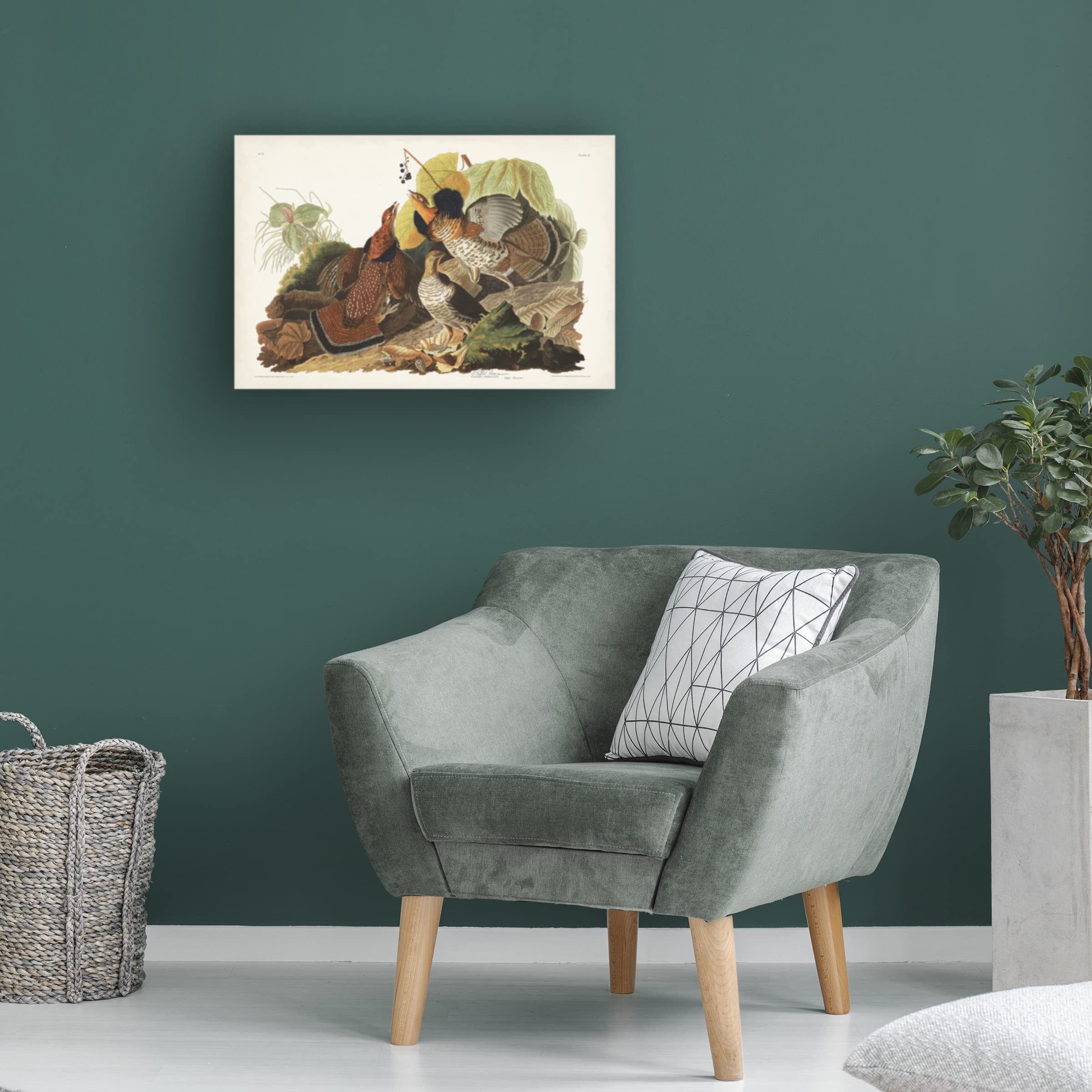 Trademark Fine Art 'Ruffed Grouse' Canvas Wall Art by John James Audubon - 22x32 Inches - Nature Wildlife Home Decor for Living Room, Bedroom & Office