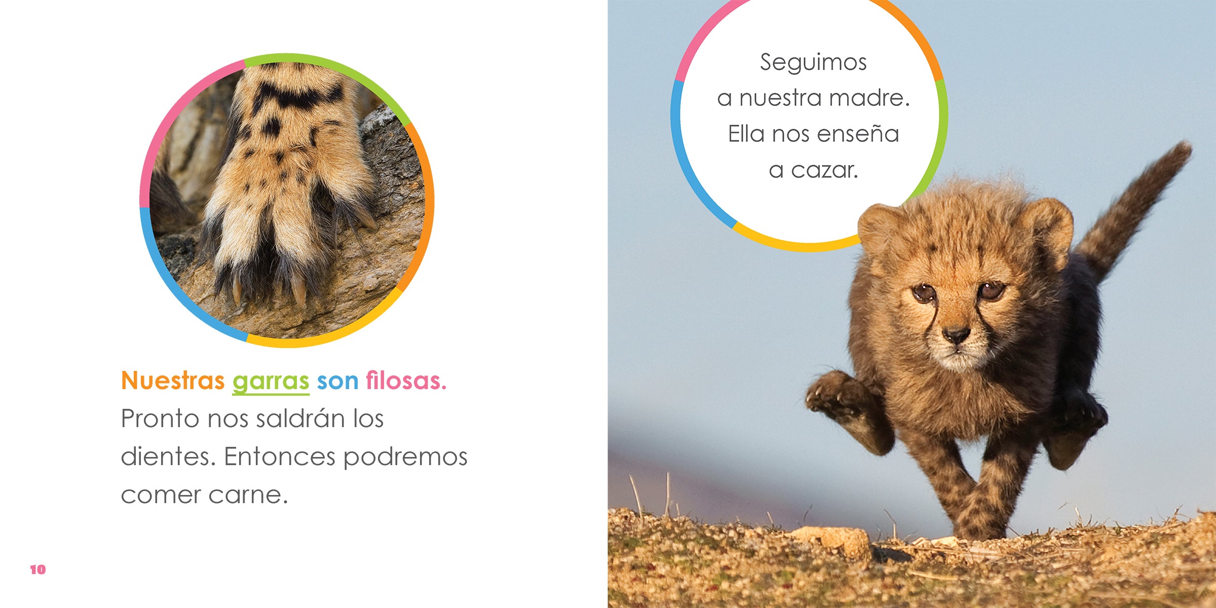 Cheetah Baby Book 9781640264502 - Fun & Educational Animal Story for Toddlers & Preschoolers | Perfect for Bedtime Reading & Early Learning