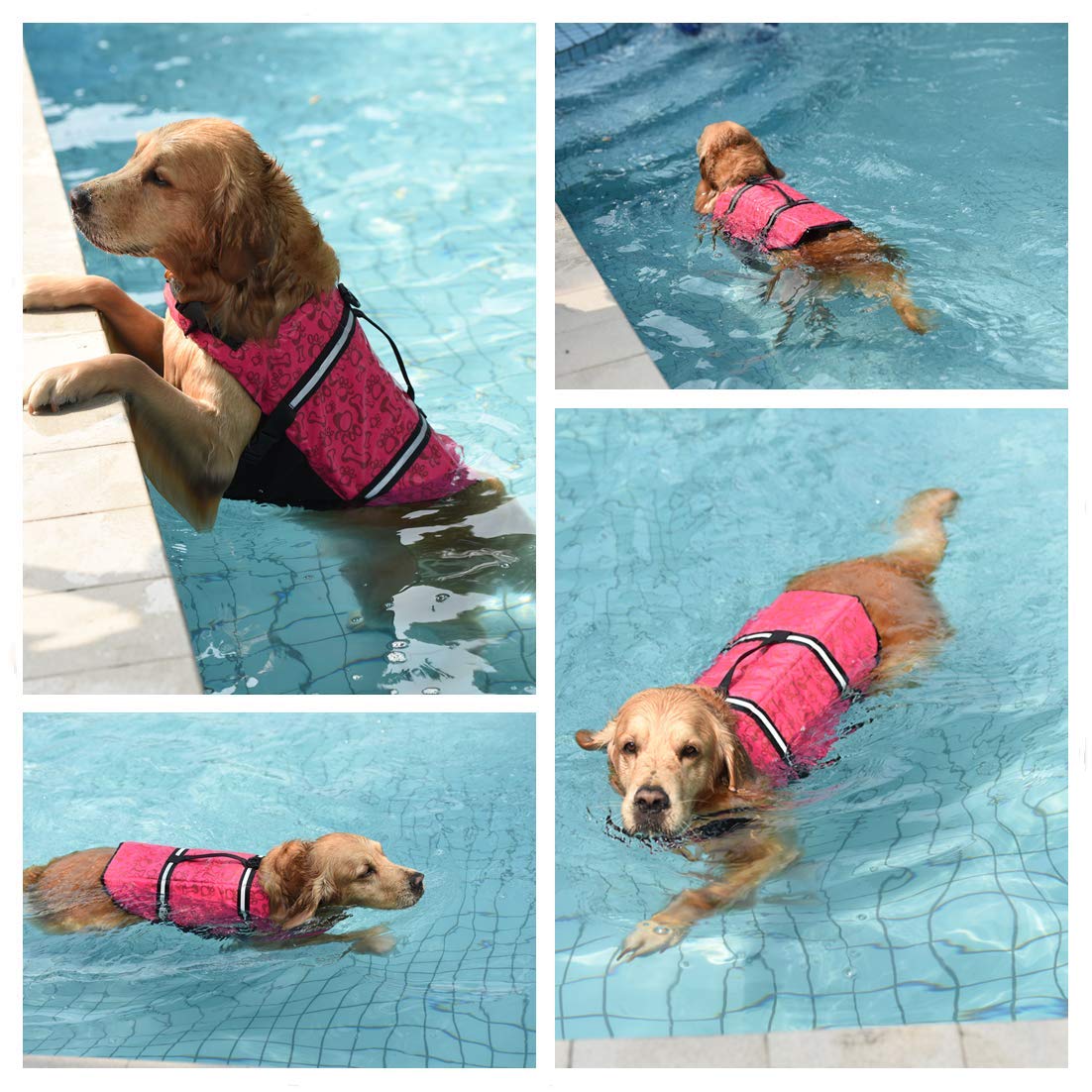 Doglay Dog Life Jacket - Adjustable Buoyancy Vest for Swimming & Boating | Reflective Safety Strips for Small, Medium & Large Dogs | Perfect for Pool, Beach & Water Activities