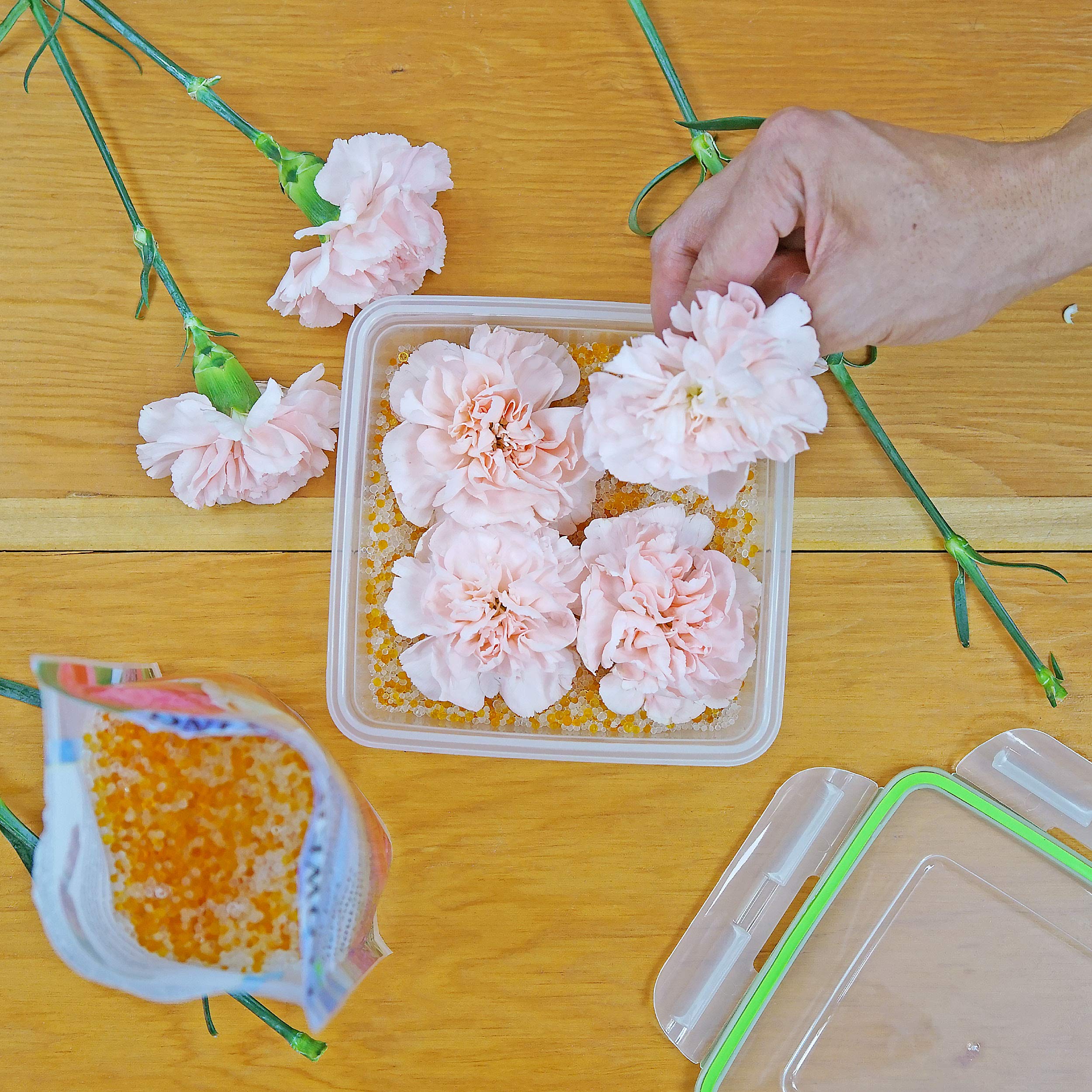 Premium Silica Gel Flower Drying Crystals - Fast Drying & Preserving Flowers, Wedding Bouquets, DIY Crafts - 1.5lb White & Orange Silica Beads (Pack of 2) - Perfect for Floral Arrangements, Pressed Flowers & Keepsakes